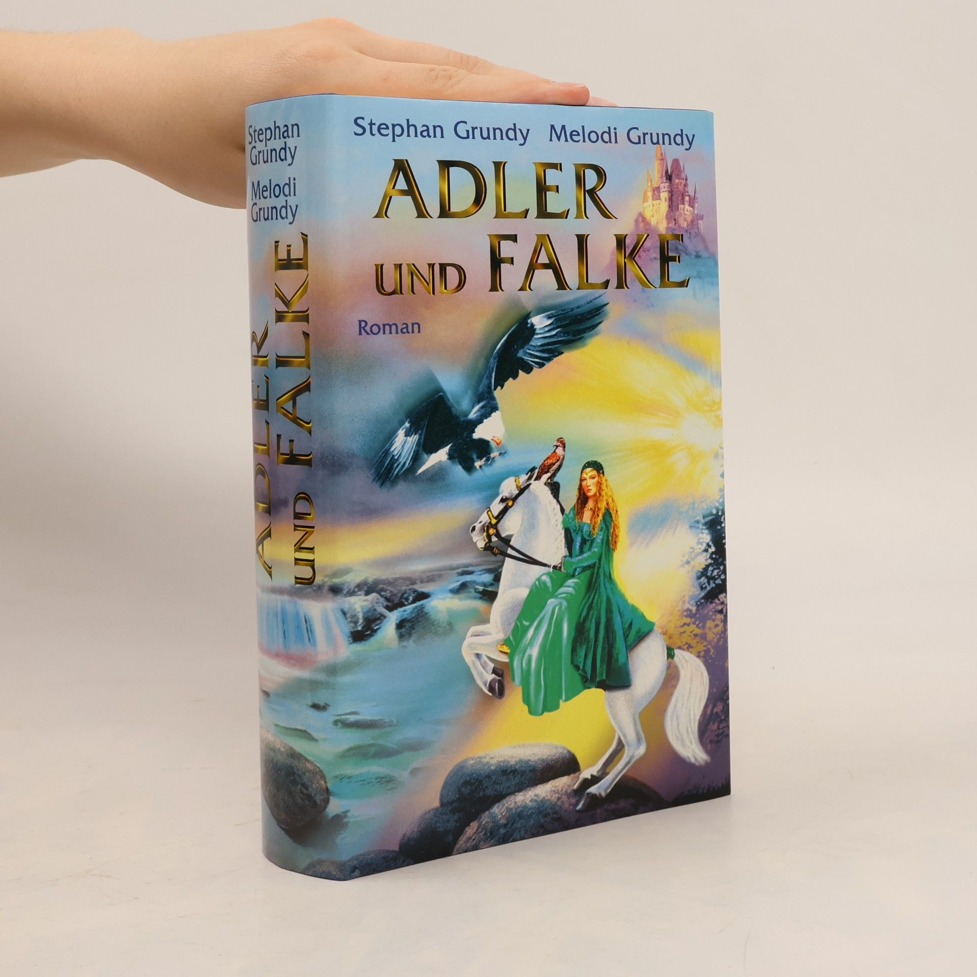 Stephan Grundy Adler und Falke