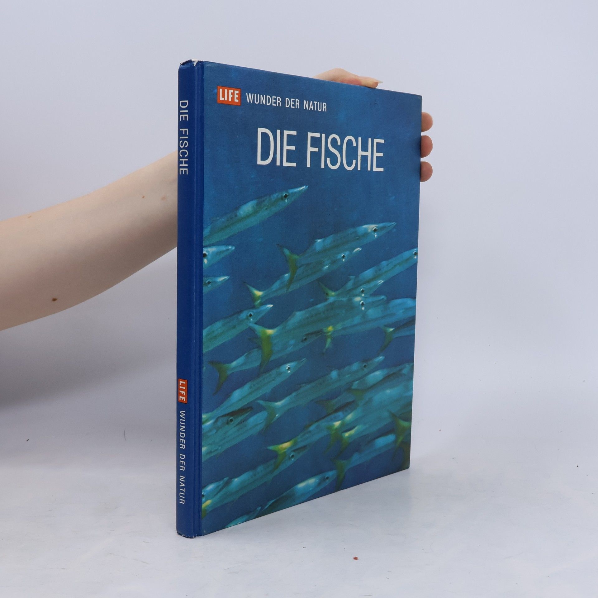 Collectif d'auteurs Die Fische