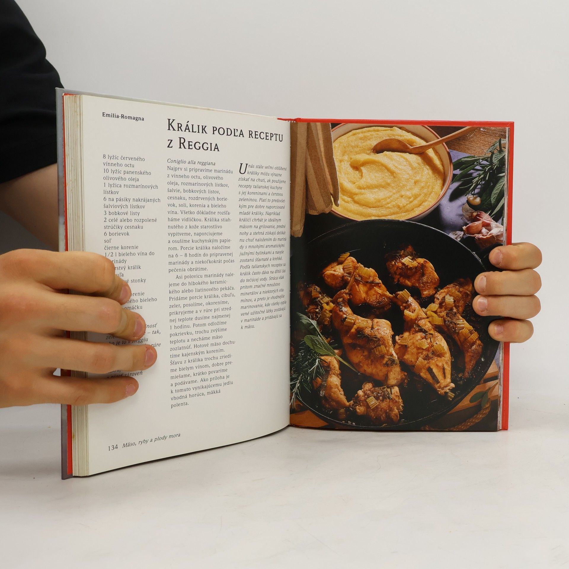 Kolektiv autorů Taliansko