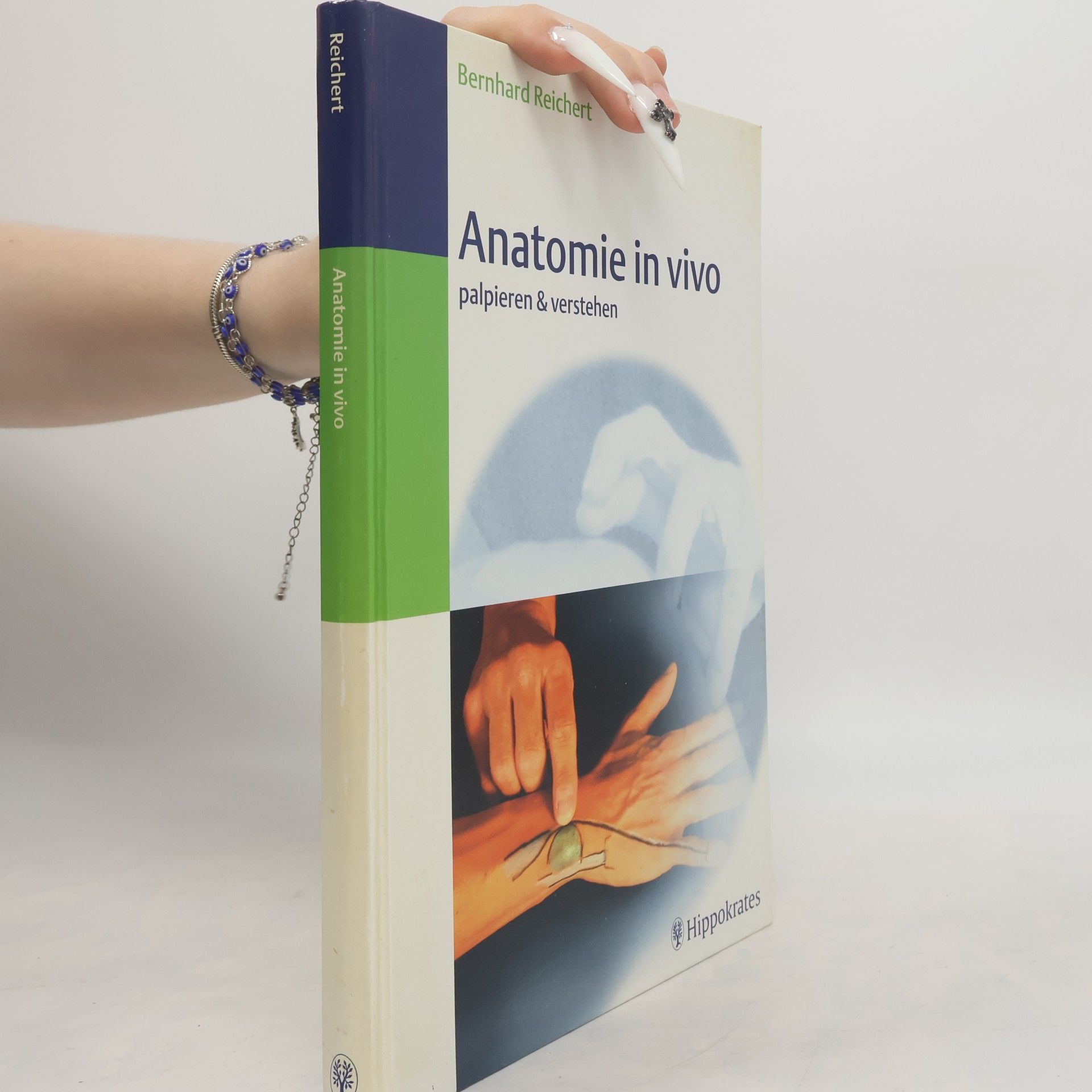 Anatomie in vivo. Palpieren & Verstehen
