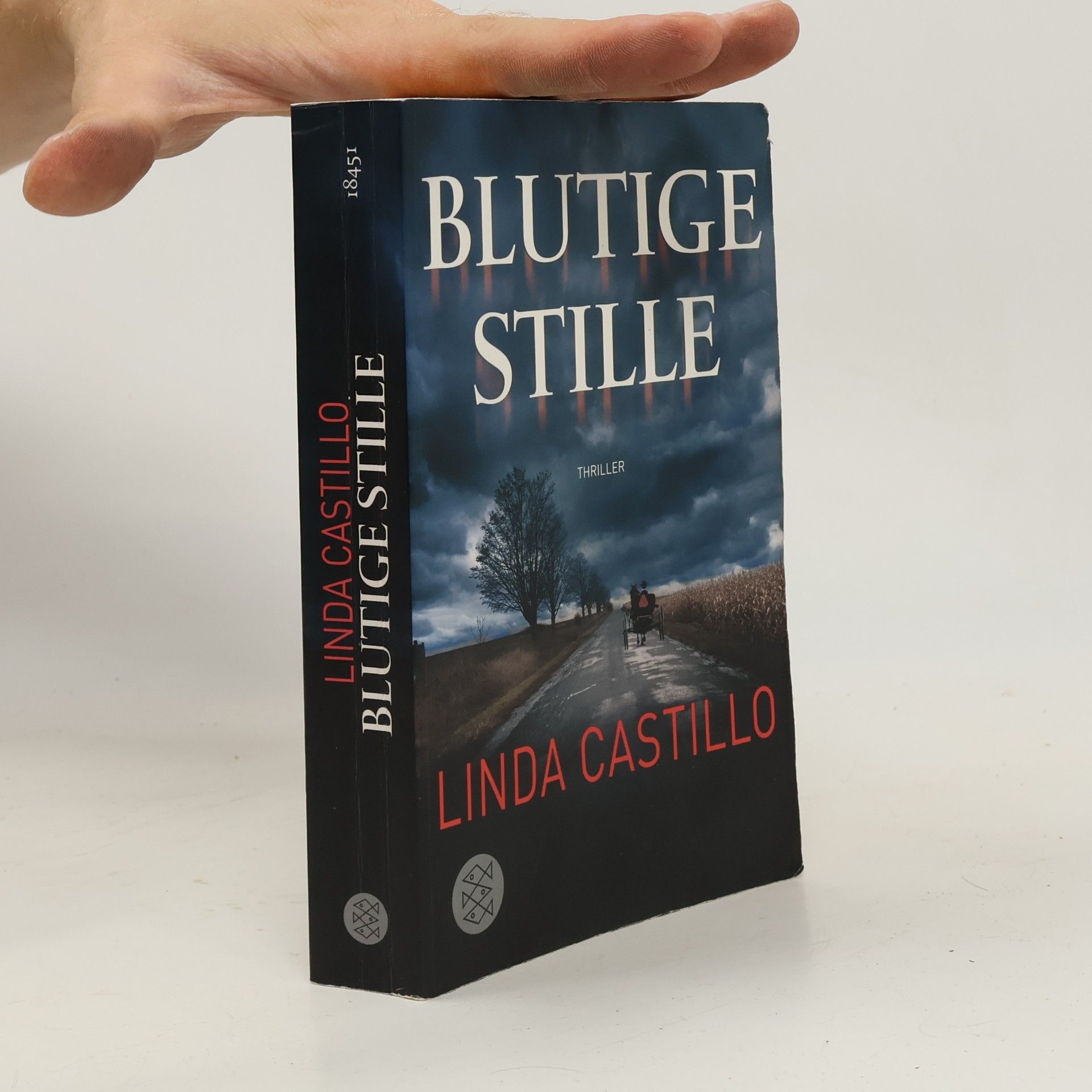 Linda Castillo Blutige Stille