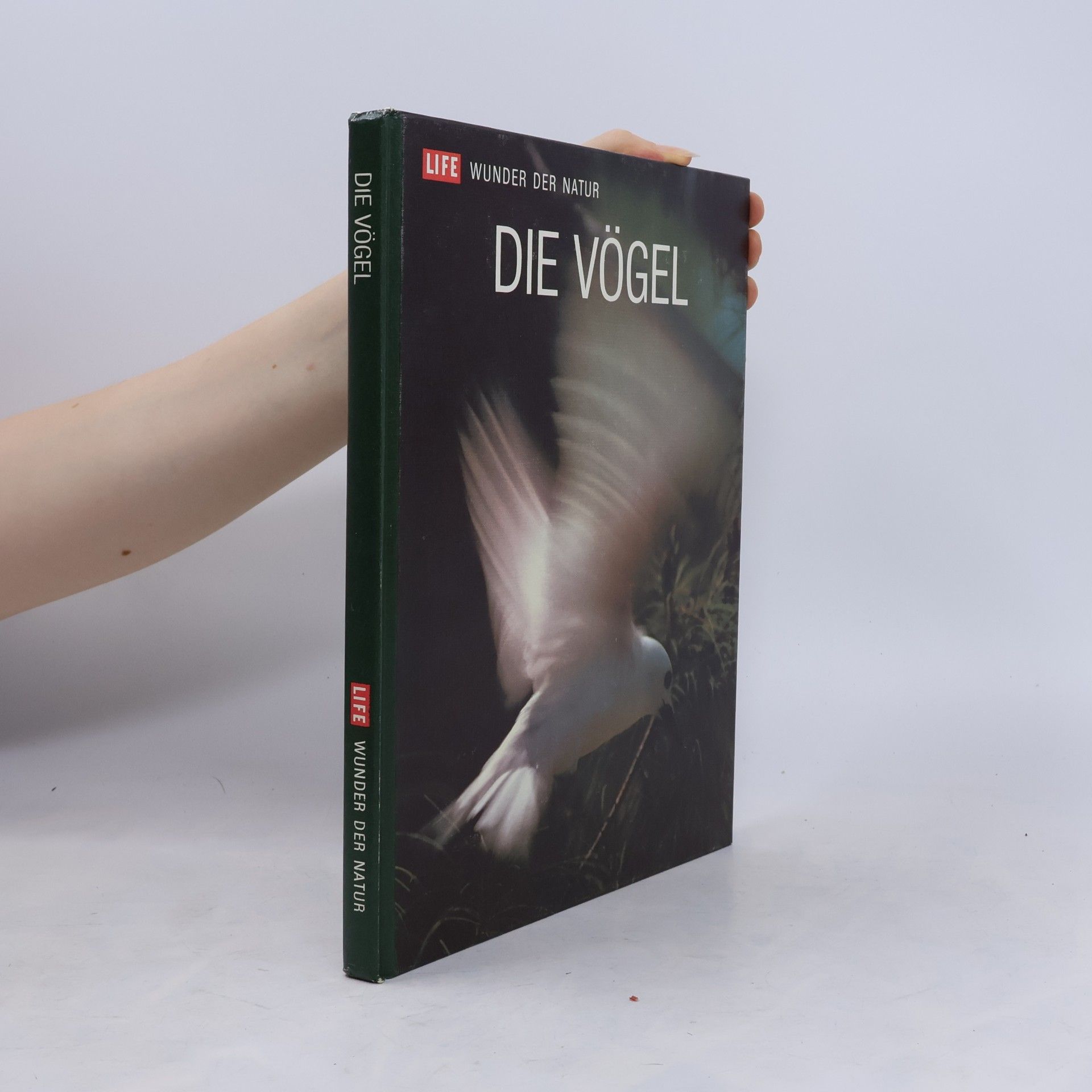 Die Vögel