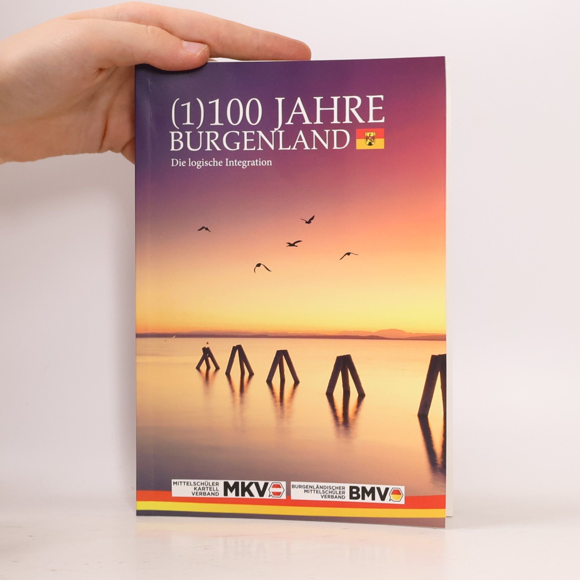 Autorenkollektiv 100 Jahre Burgenland. Die logische Integration