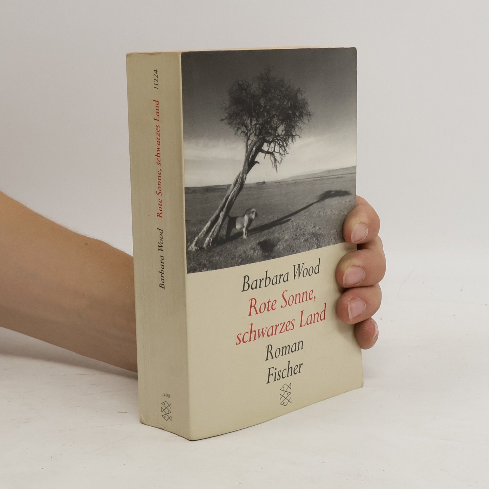 Barbara Wood Rote Sonne schwarzes Land