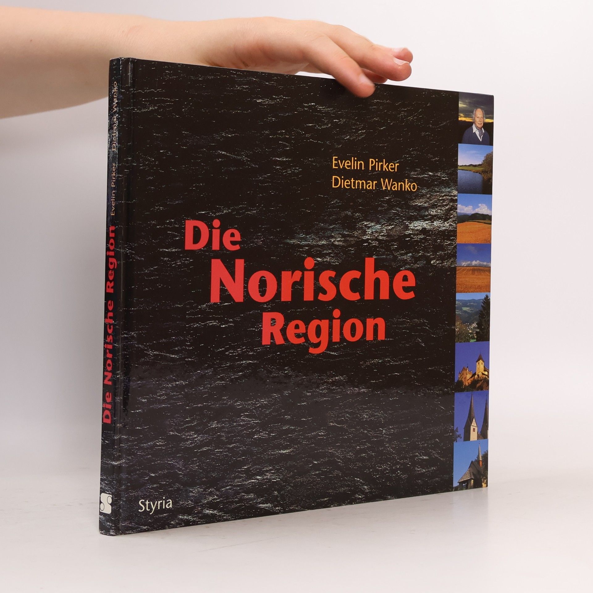 Evelin Pirker Die norische Region