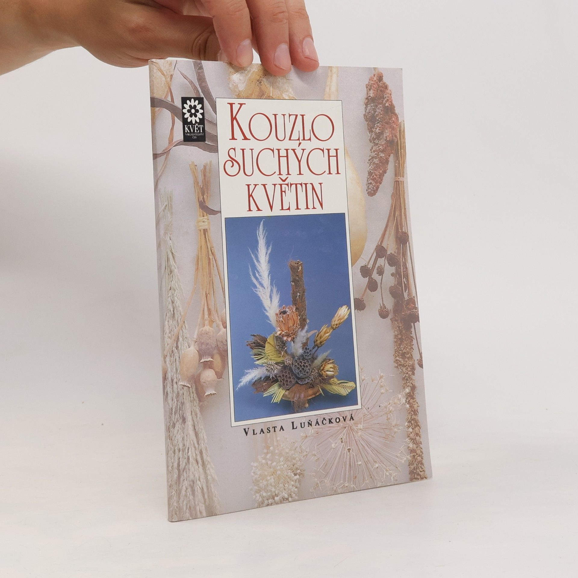 Vlasta Luňáčková Kouzlo suchých květin