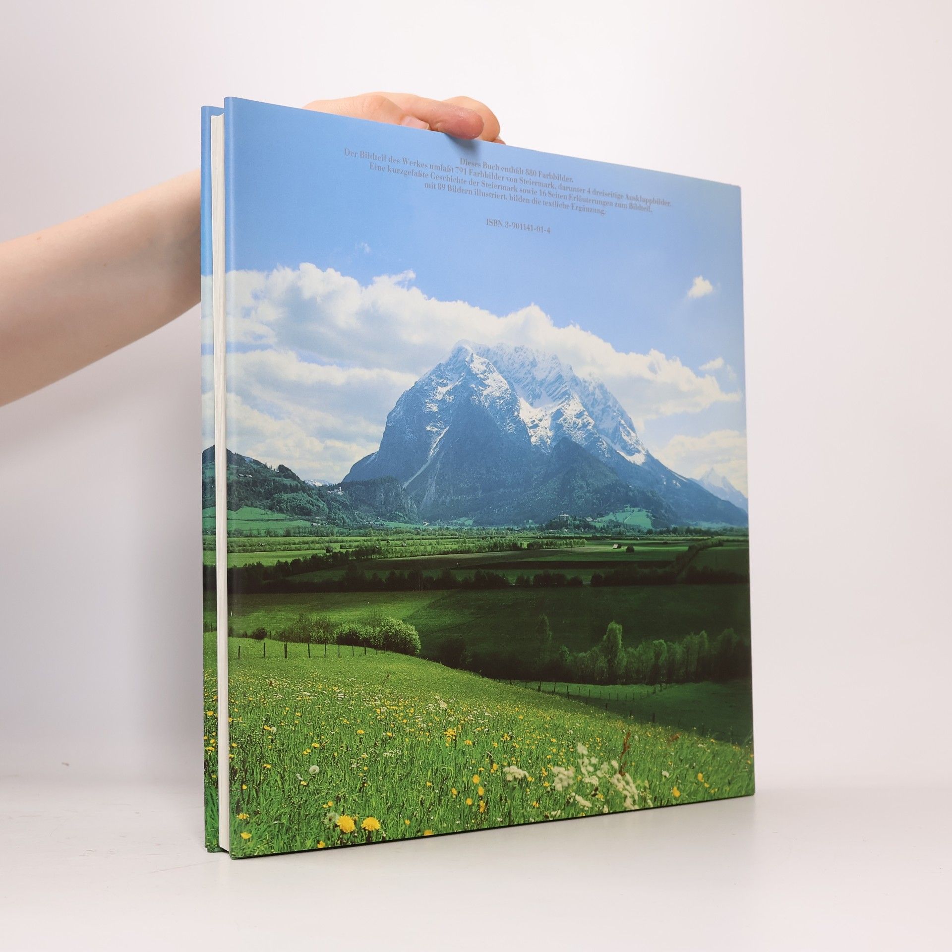 Ernst Hausner Steiermark
