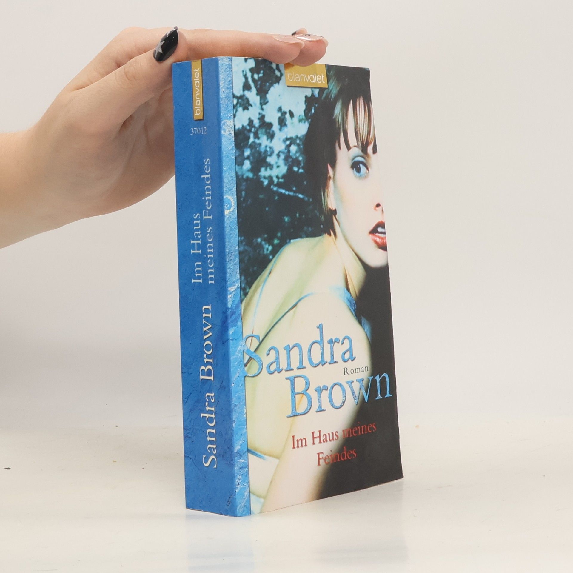 Sandra Brown Im Haus meines Feindes