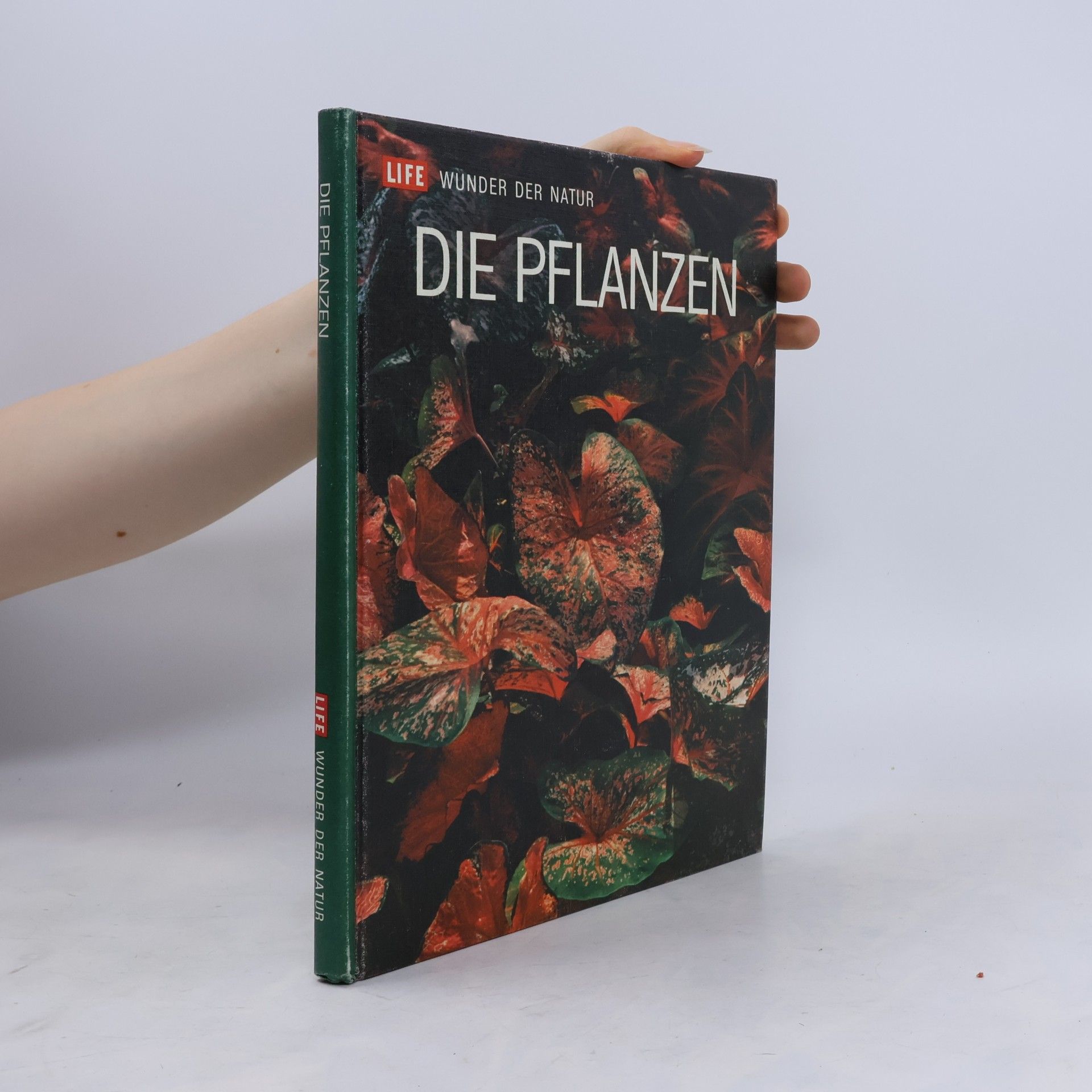 Autorenkollektiv Die Pflanzen