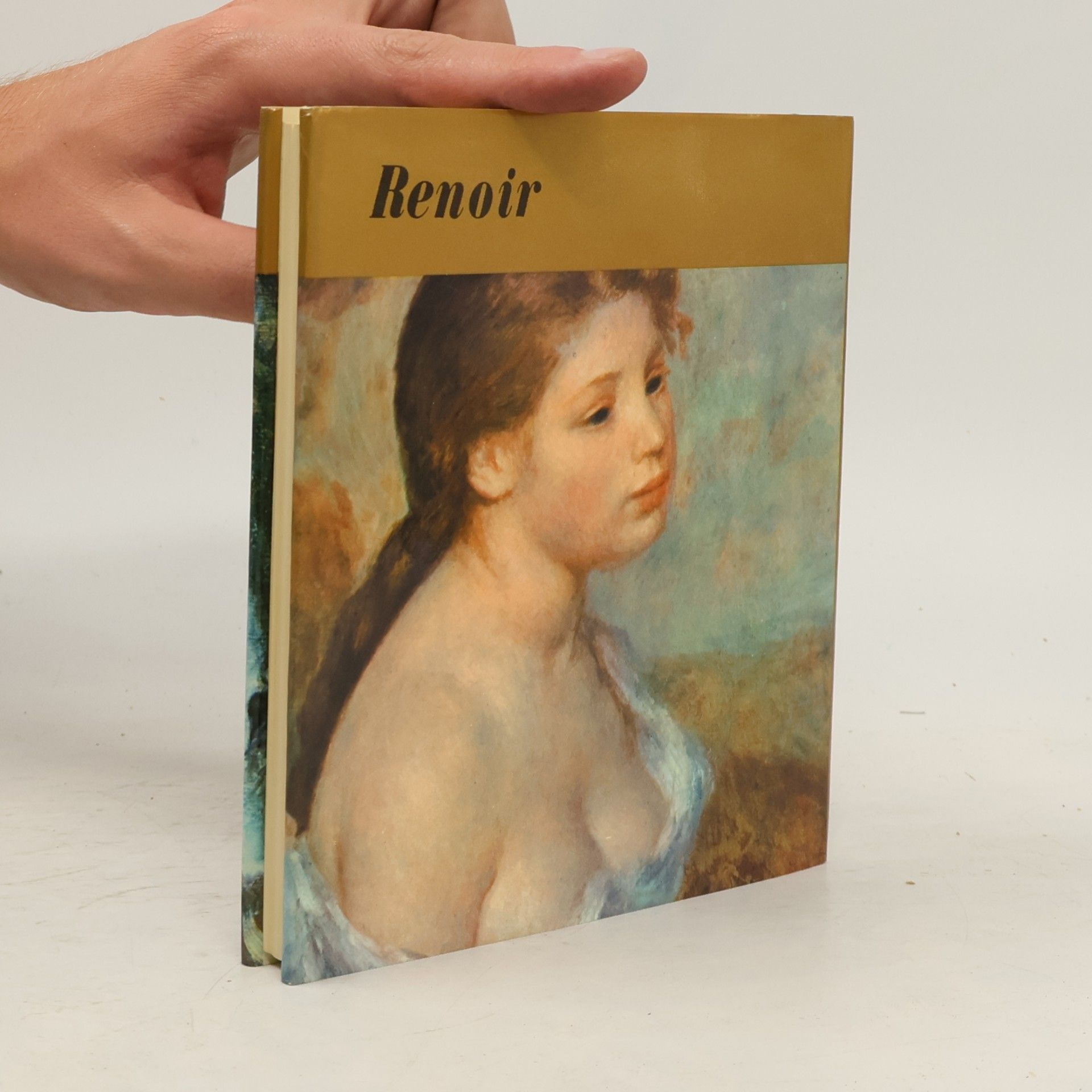 Autorenkollektiv Renoir