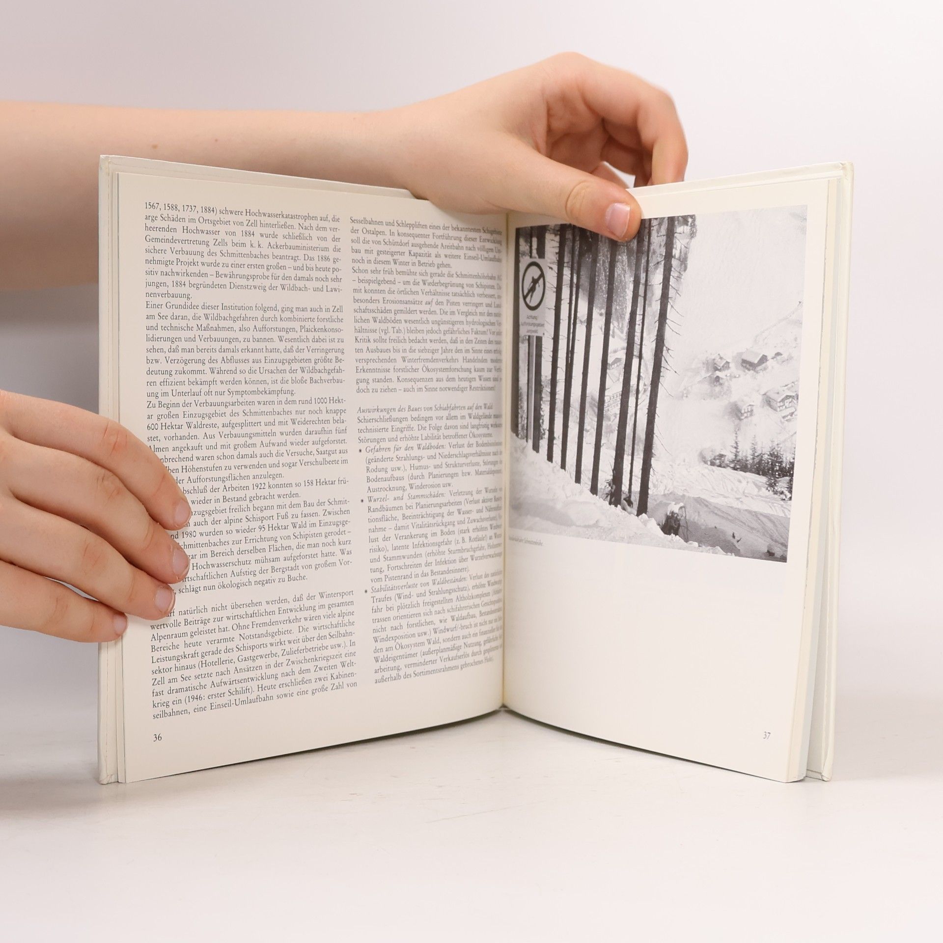 Autorenkollektiv Das Salzburger Jahr 1988/1989