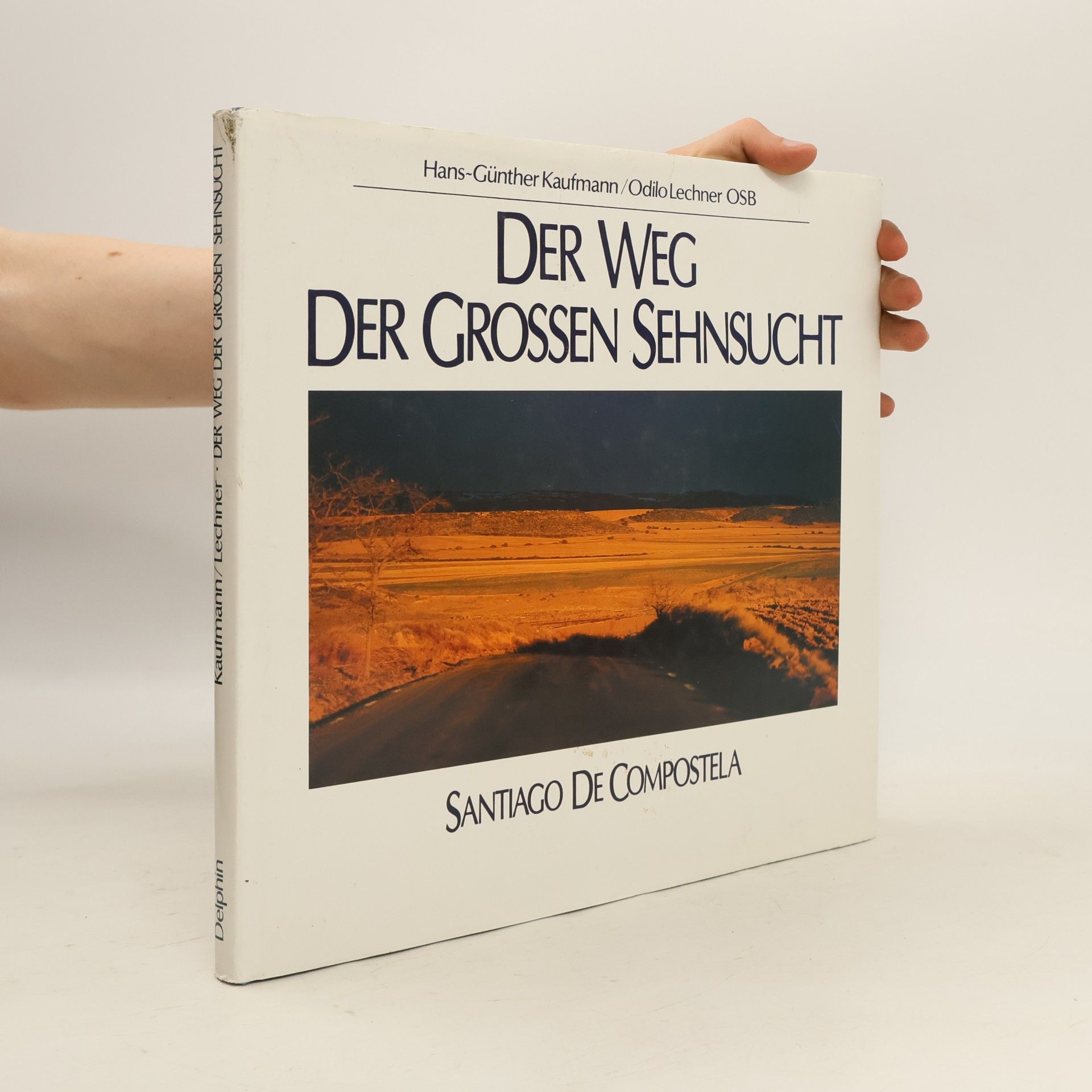 Hans-Günther Kaufmann Der Weg der grossen Sehnsucht
