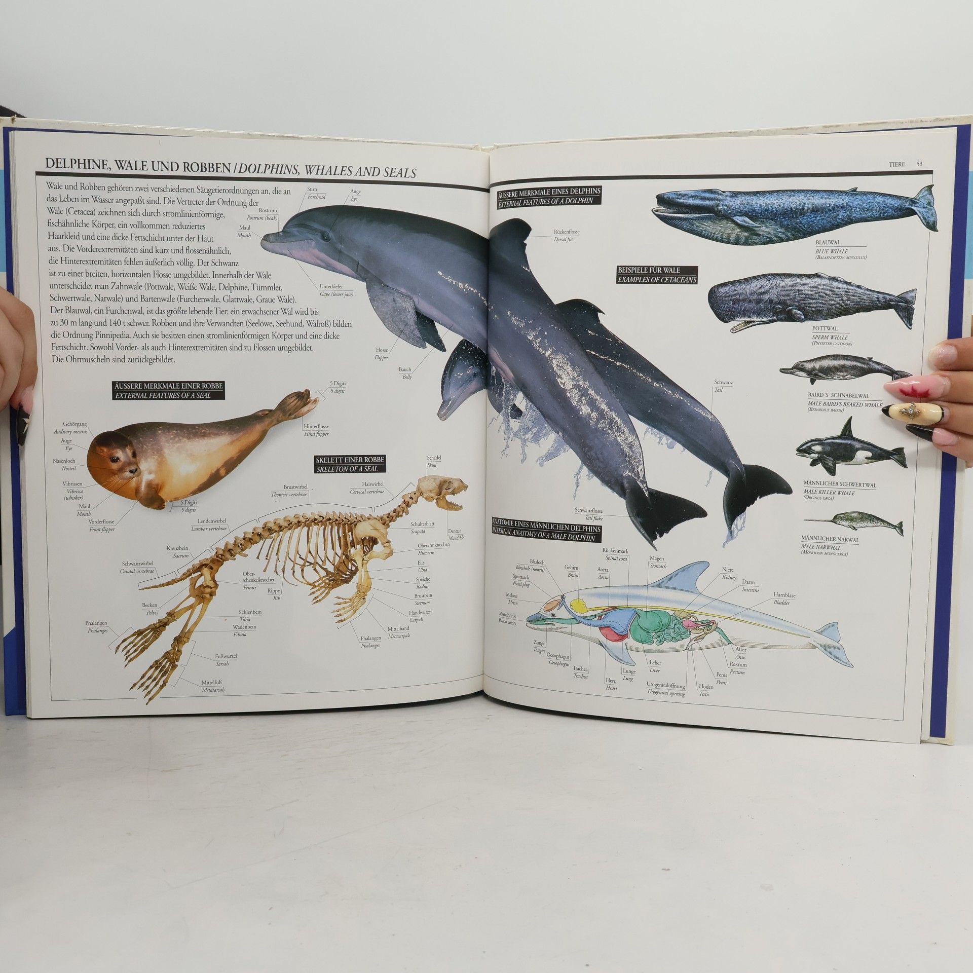 Christa Schmieder-Wenzel Tiere in Wort und Bild