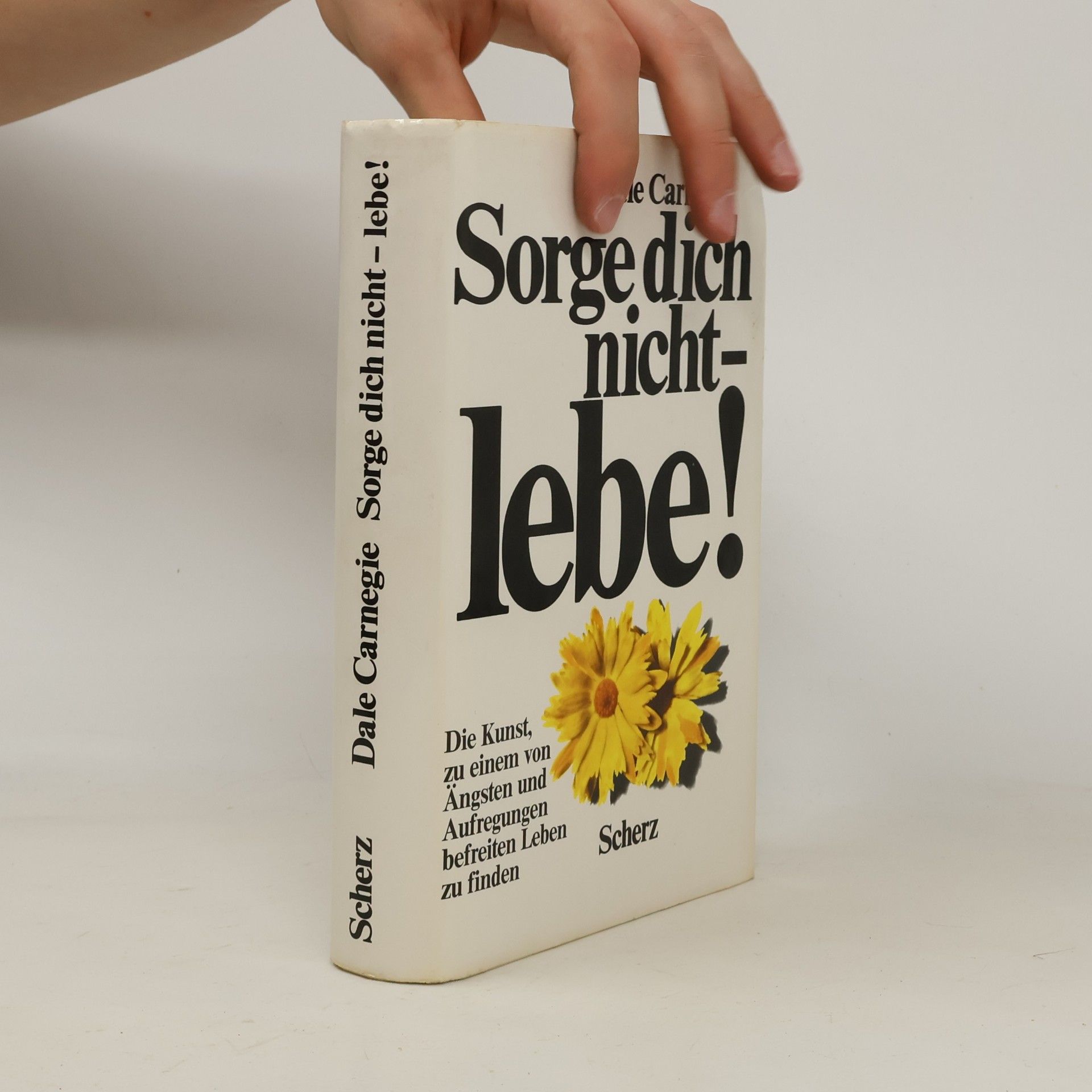Dale Carnegie Sorge dich nicht - lebe!