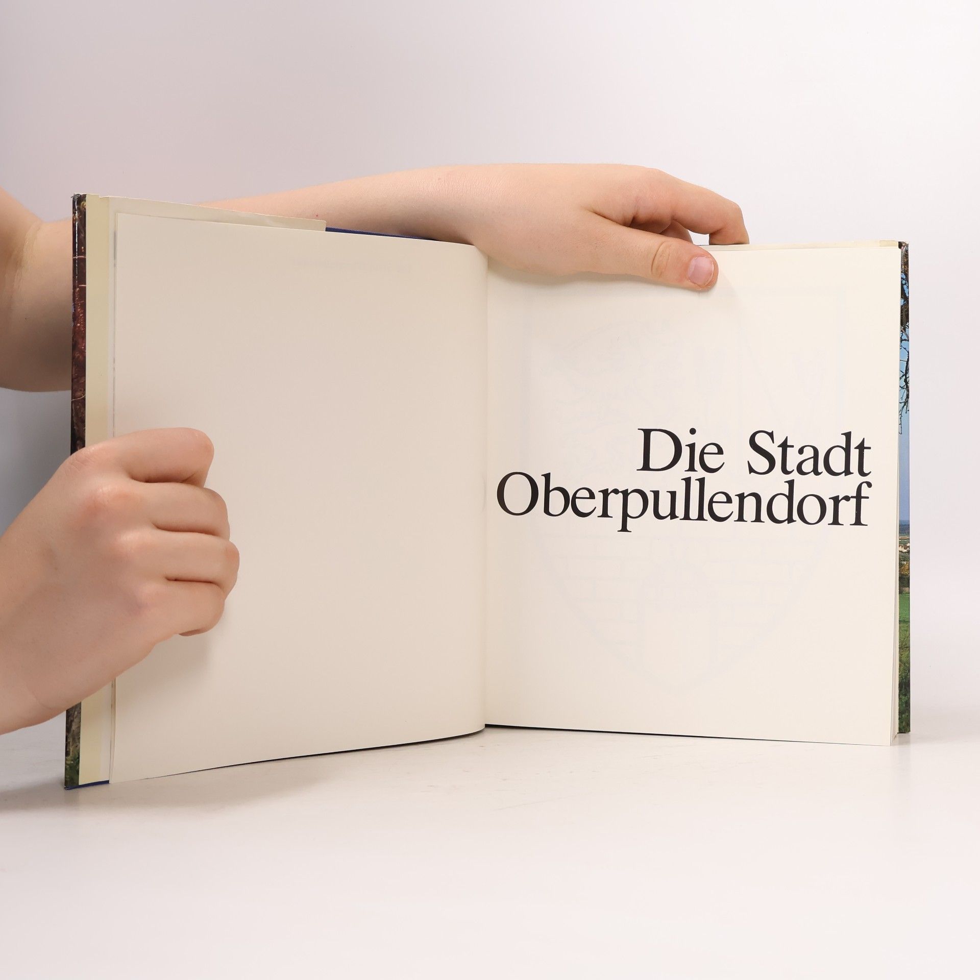 Autorenkollektiv Die Stadt Oberpullendorf