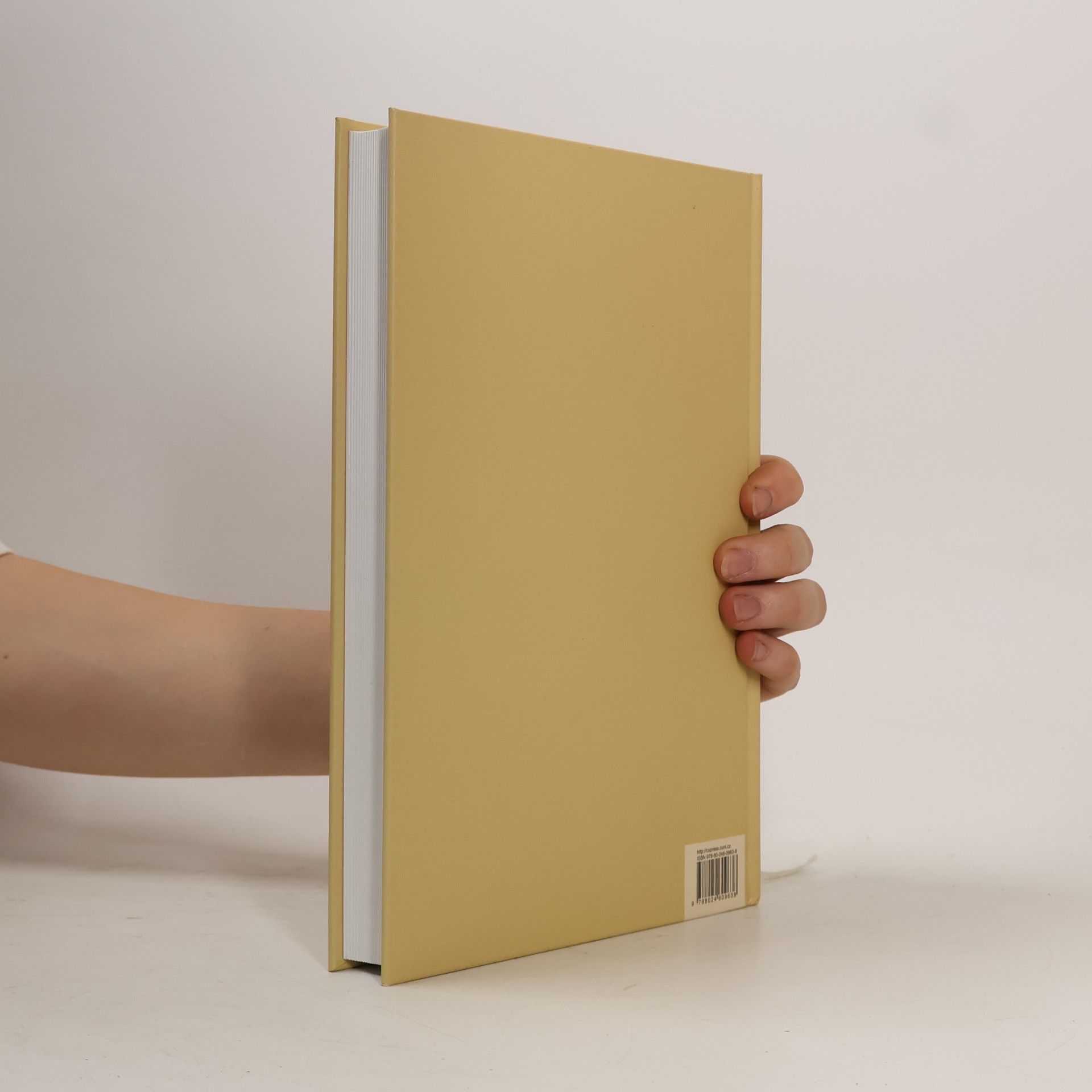 Jan Royt Slovník biblické ikonografie