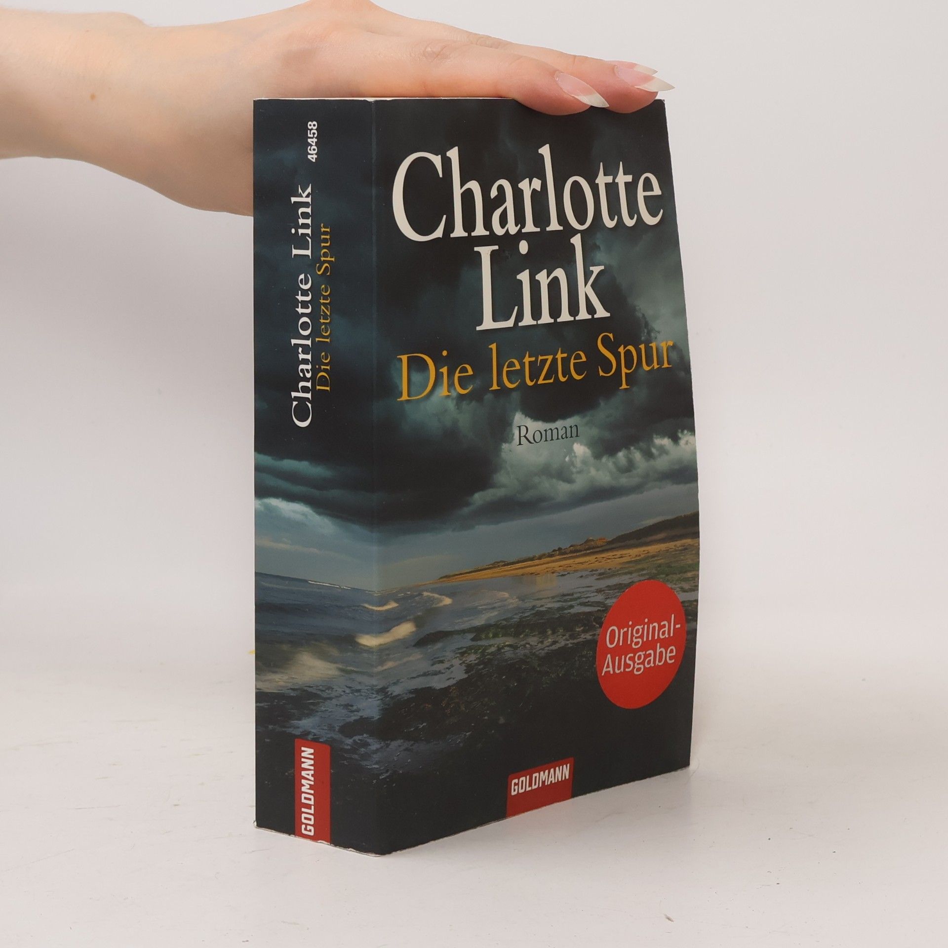 Charlotte Link Die letzte Spur