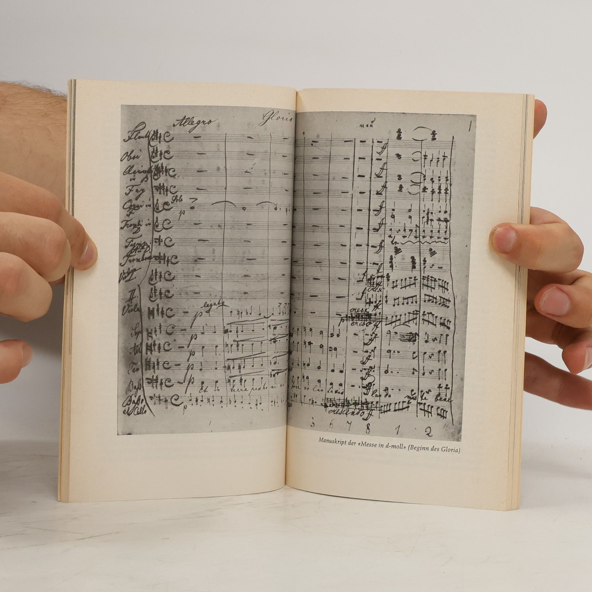 Karl Grebe Anton Bruckner