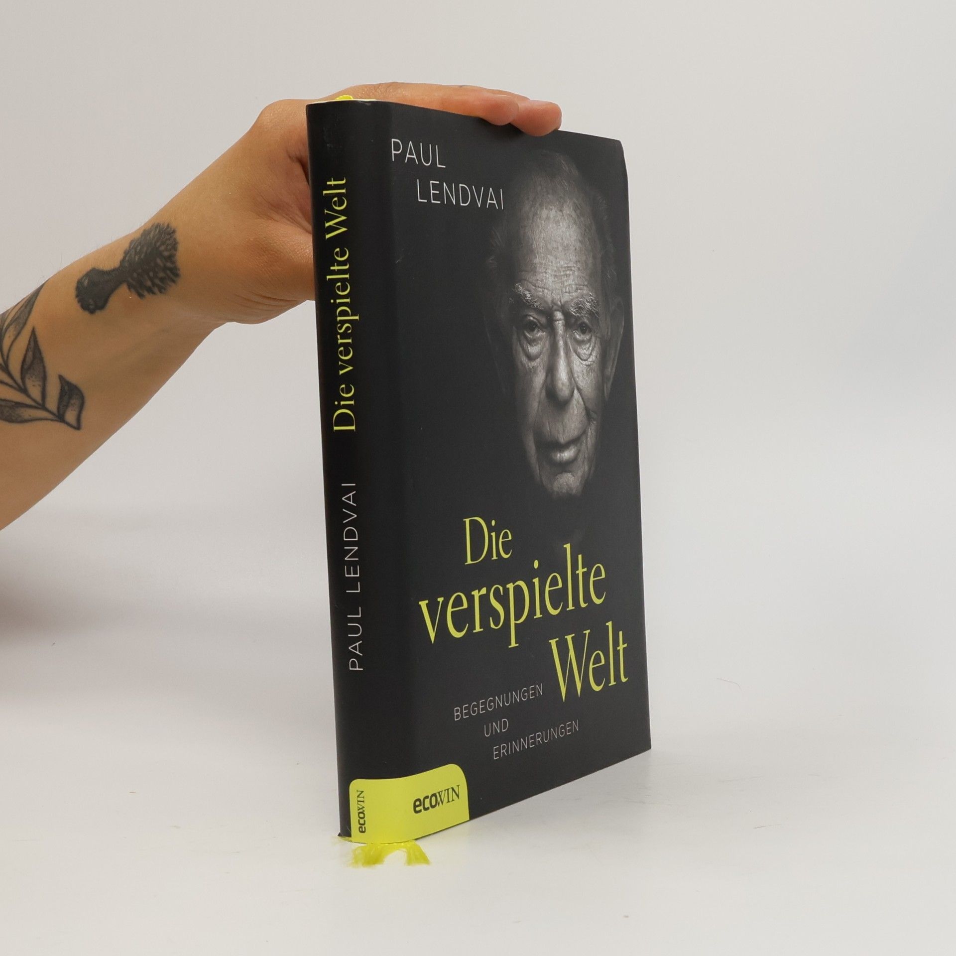 Die verspielte Welt
