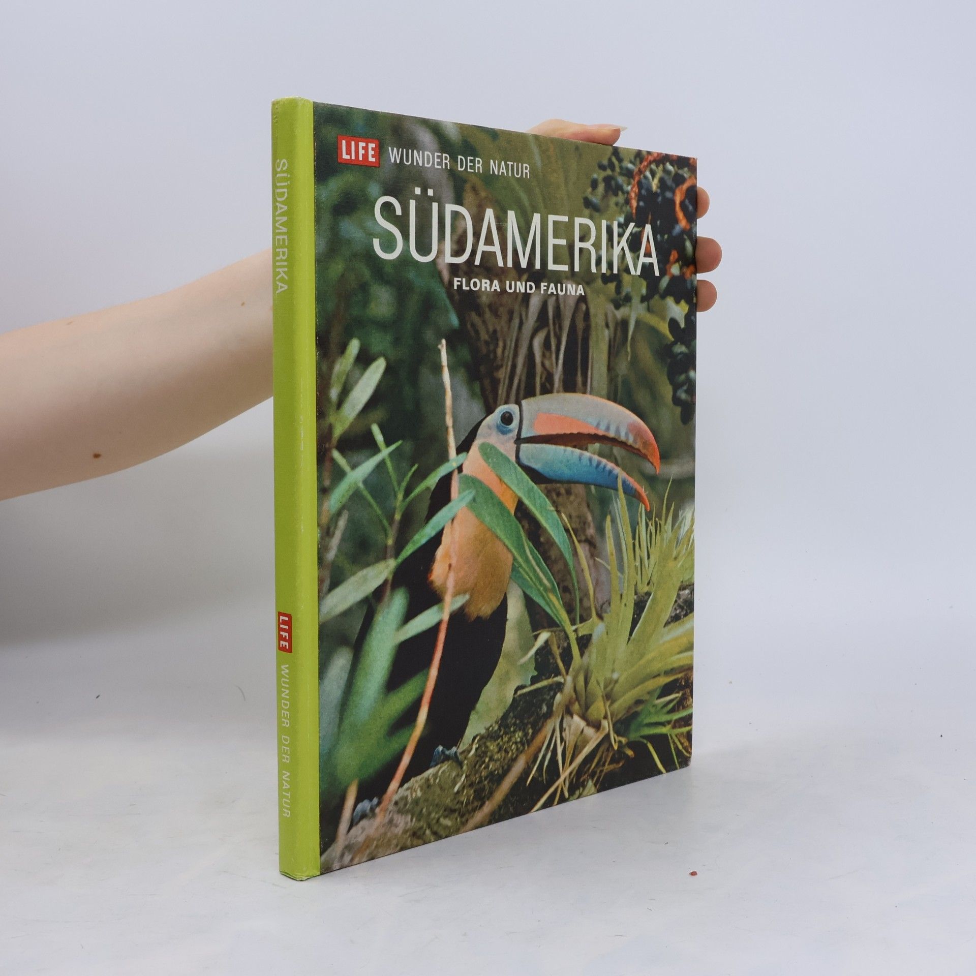 Kolektiv autorů Südamerika. Flora und Fauna