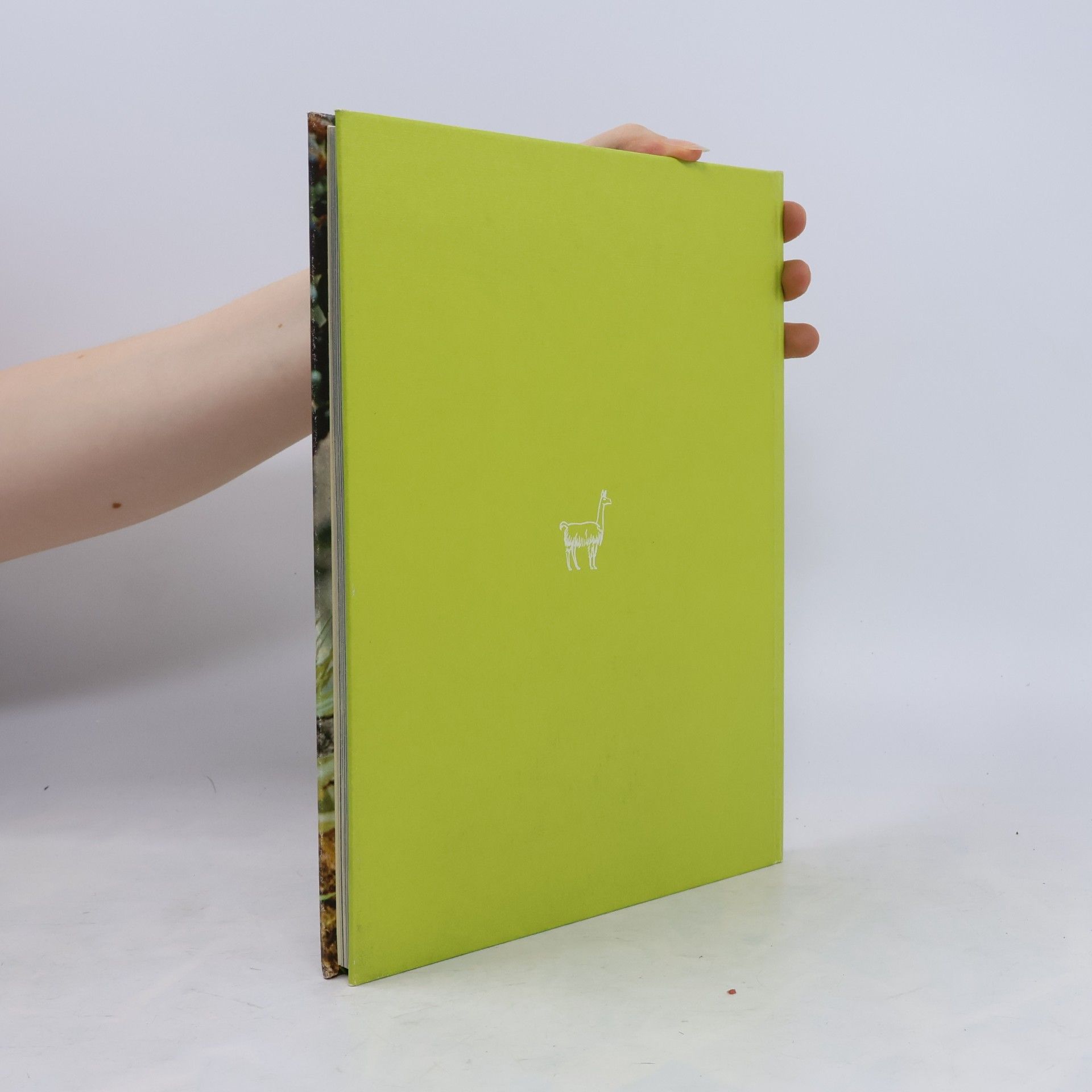 Autorenkollektiv Südamerika. Flora und Fauna