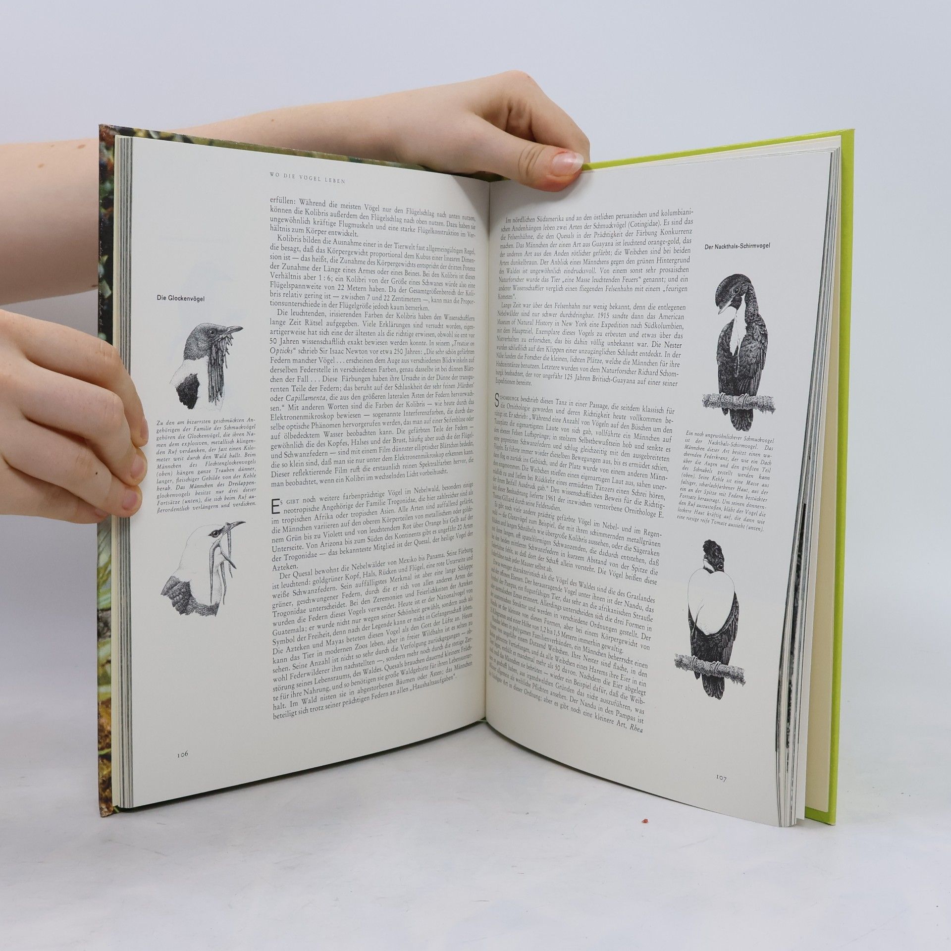 Autorenkollektiv Südamerika. Flora und Fauna