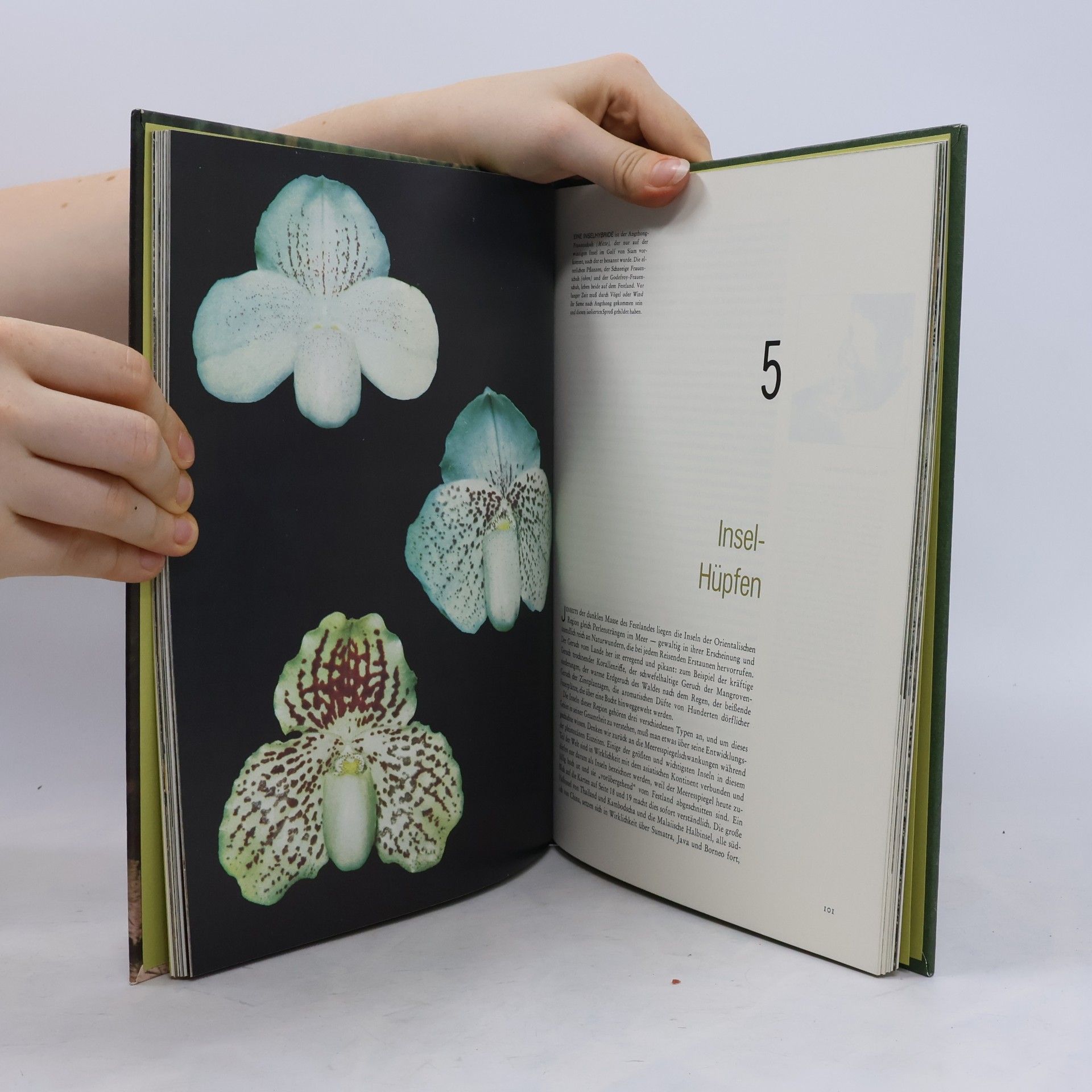 Sidney Dillon Ripley Tropisches Asien. Flora und Fauna