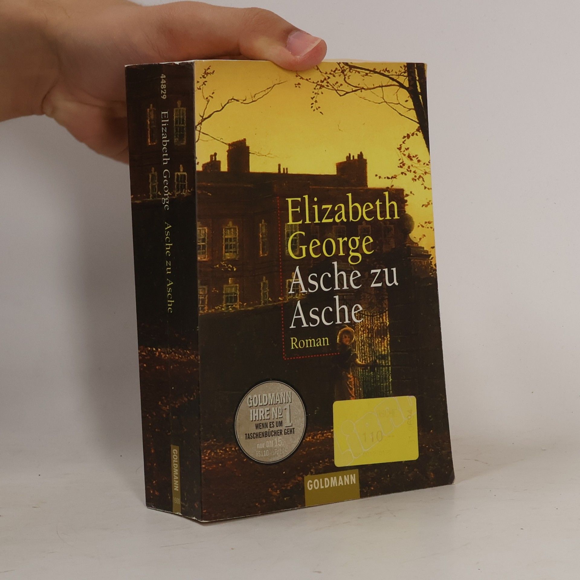 Elizabeth George Asche zu Asche