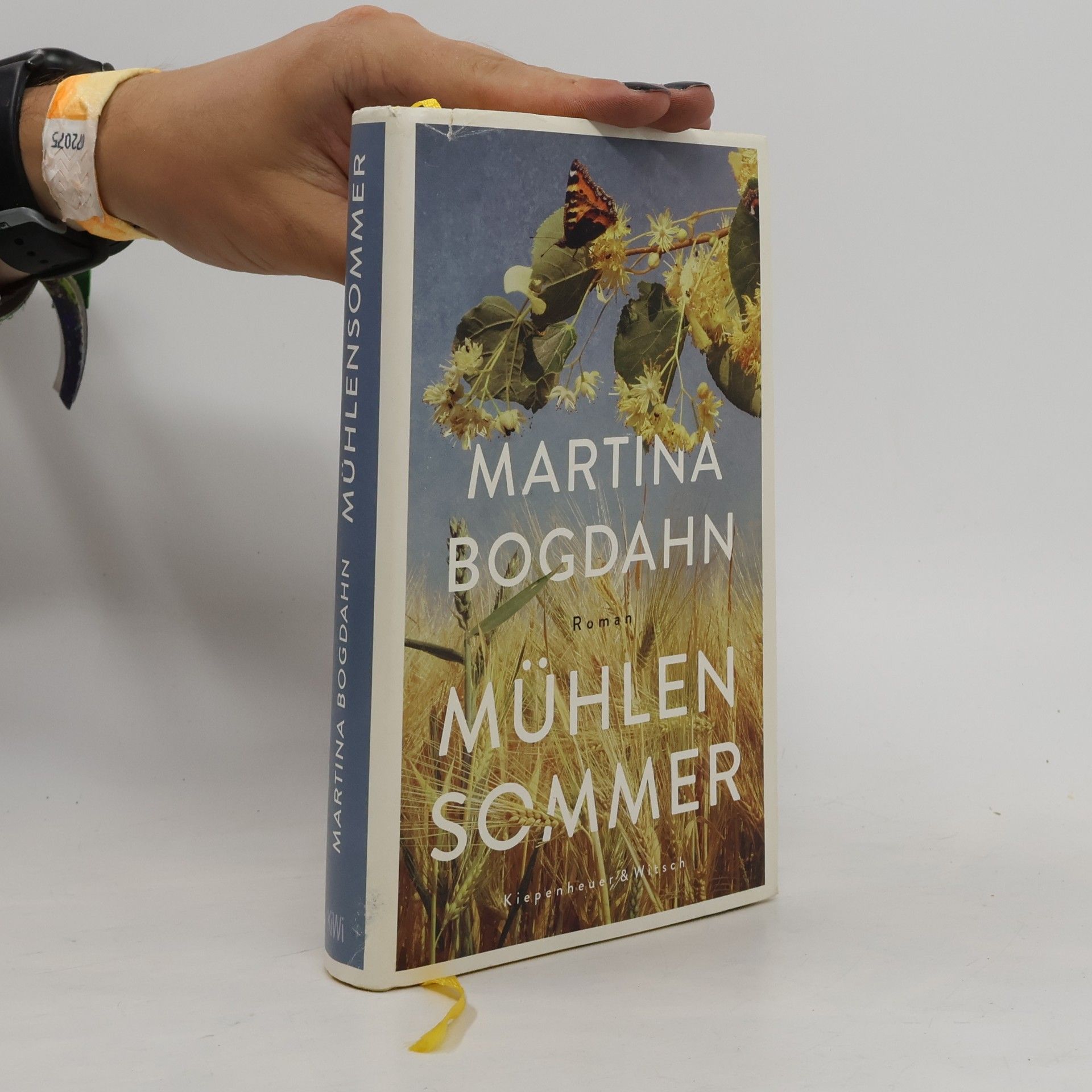 Martina Bogdahn Mühlensommer
