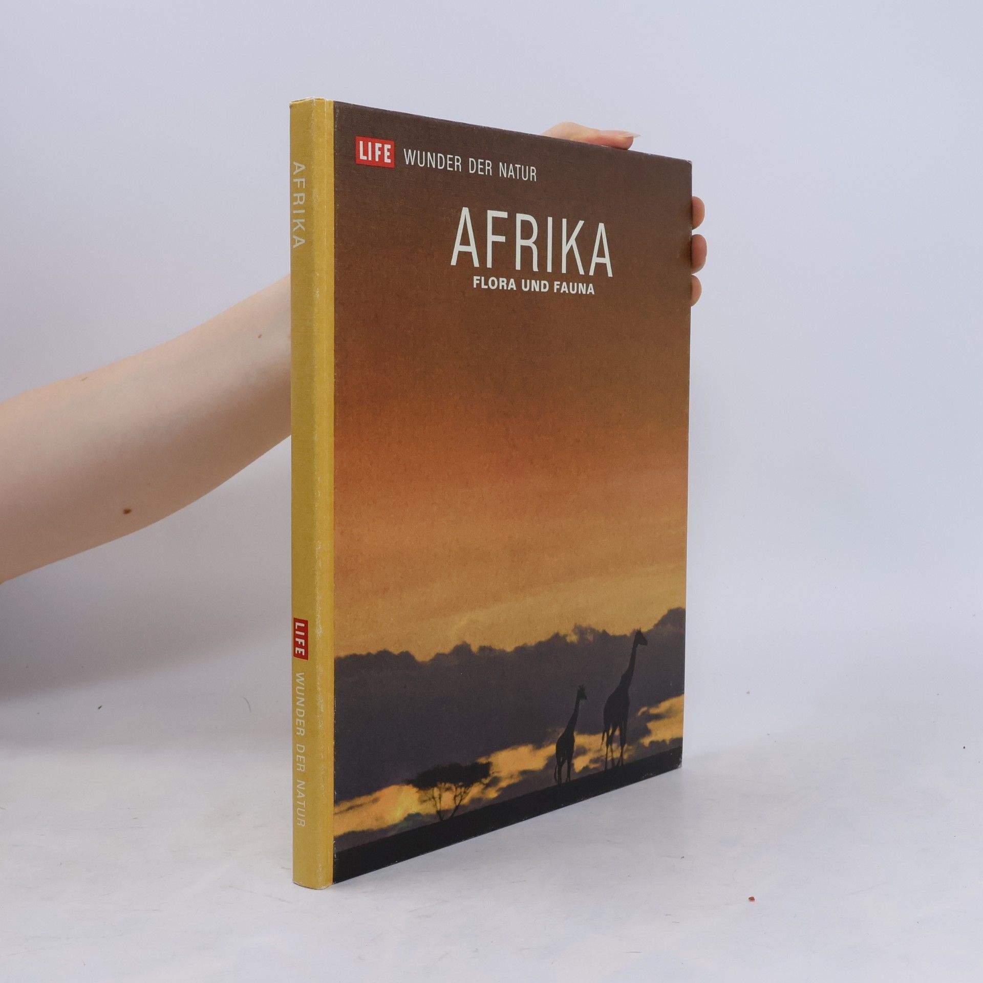 Autorenkollektiv Afrika. Flora und Fauna