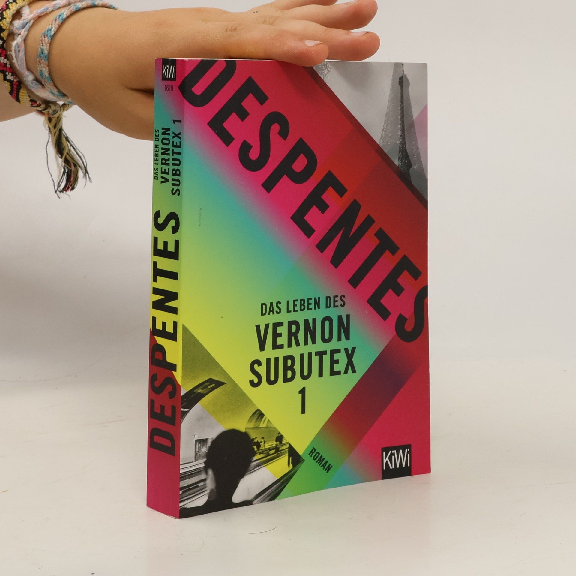 Virginie Despentes Das Leben des Vernon Subutex 1