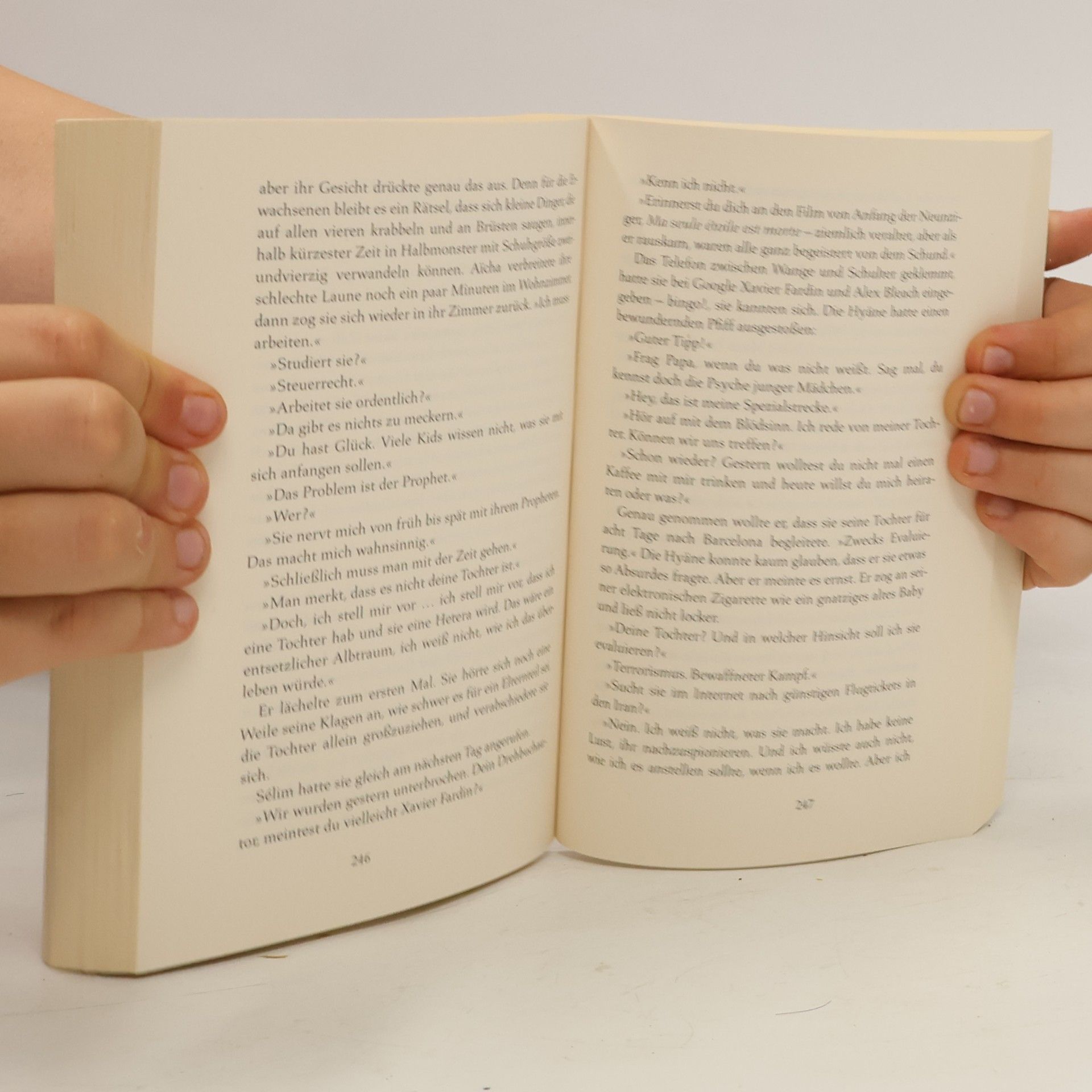 Virginie Despentes Das Leben des Vernon Subutex 1
