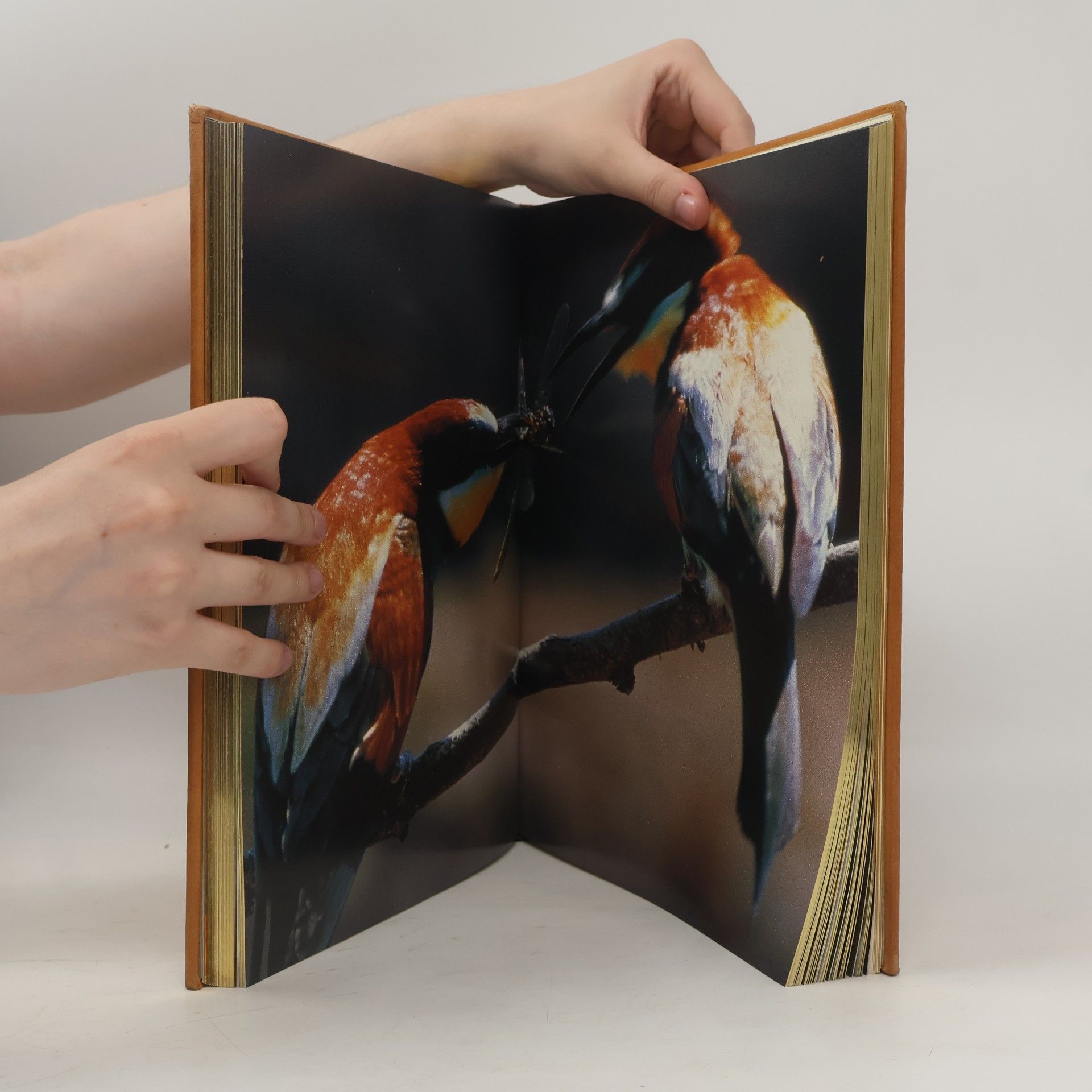 Claus-Peter Lieckfeld Naturerbe Europa. Alte Welt - Neue Chancen