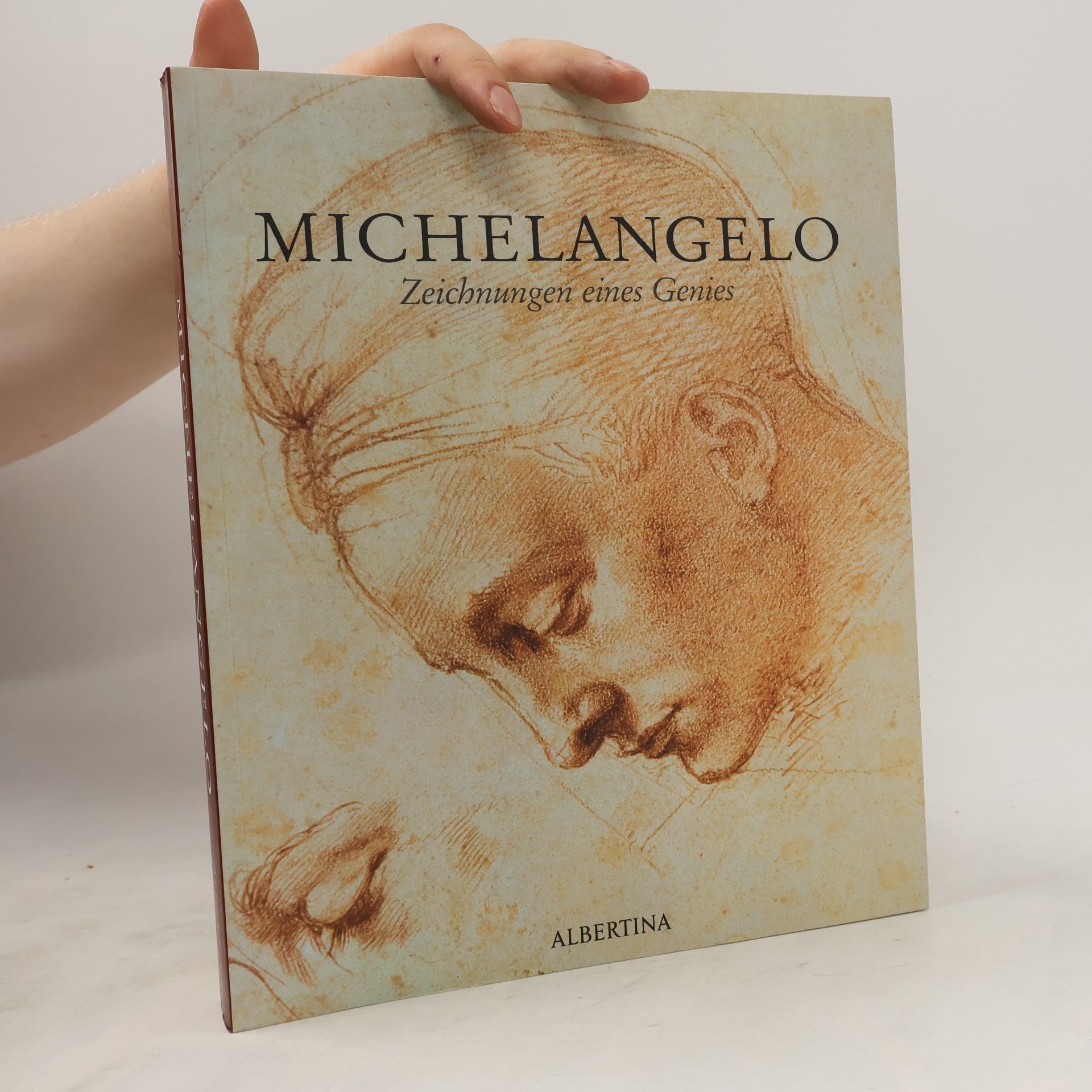 Autorenkollektiv Michelangelo : Zeichnungen eines Genies