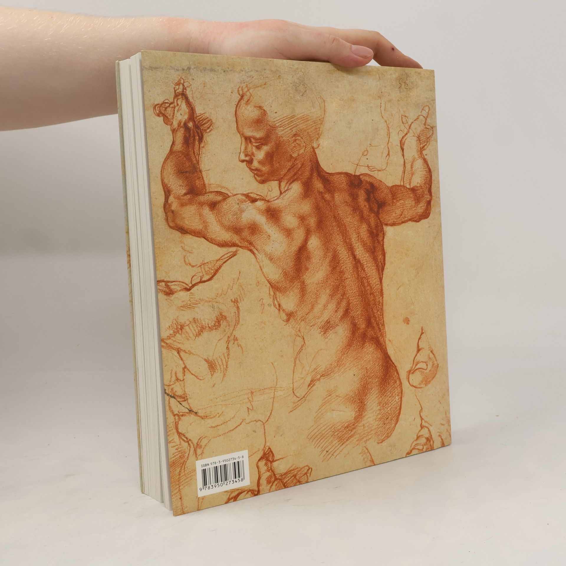 Various authors Michelangelo : Zeichnungen eines Genies