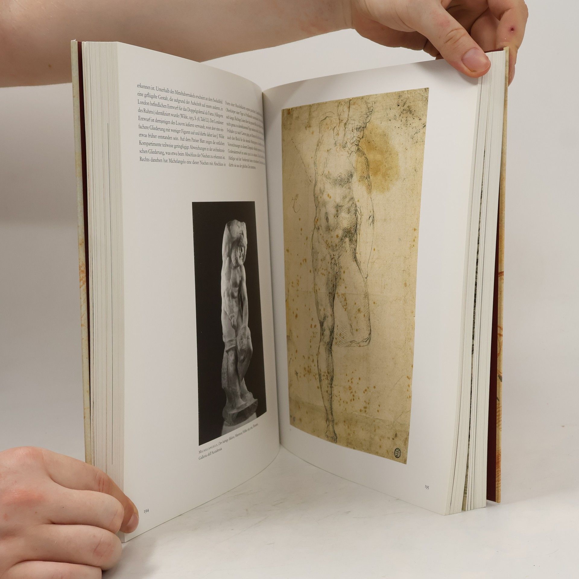 Various authors Michelangelo : Zeichnungen eines Genies