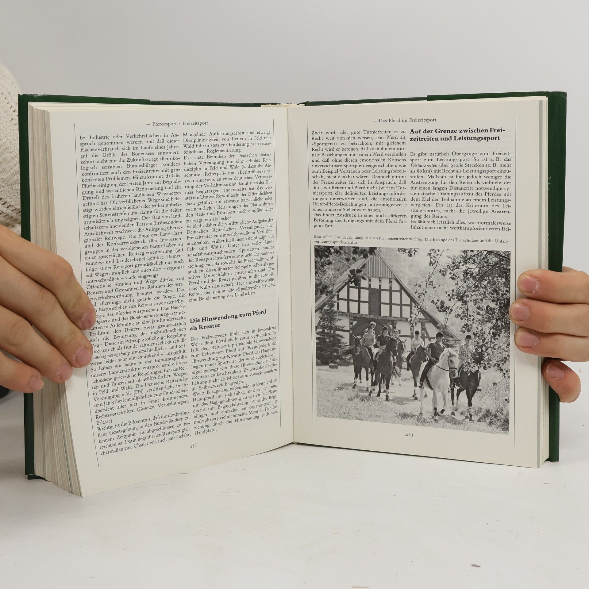 Peter Thein Handbuch Pferd