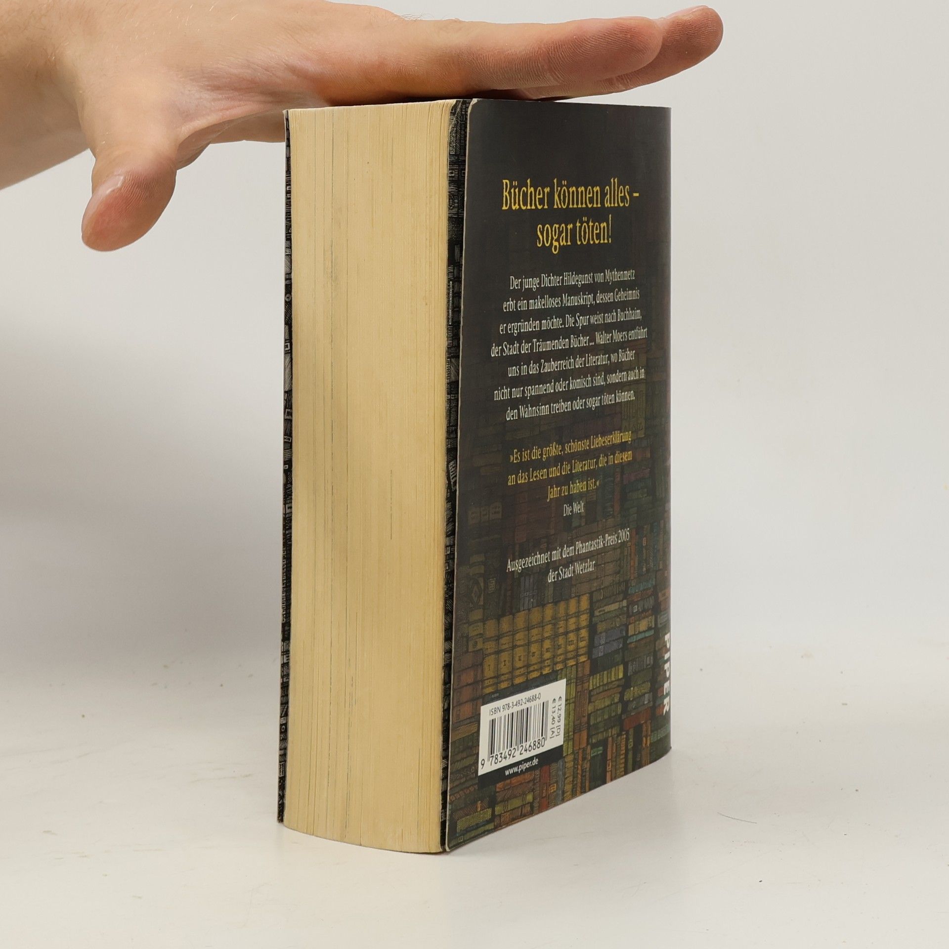 Walter Moers Die Stadt der Träumenden Bücher