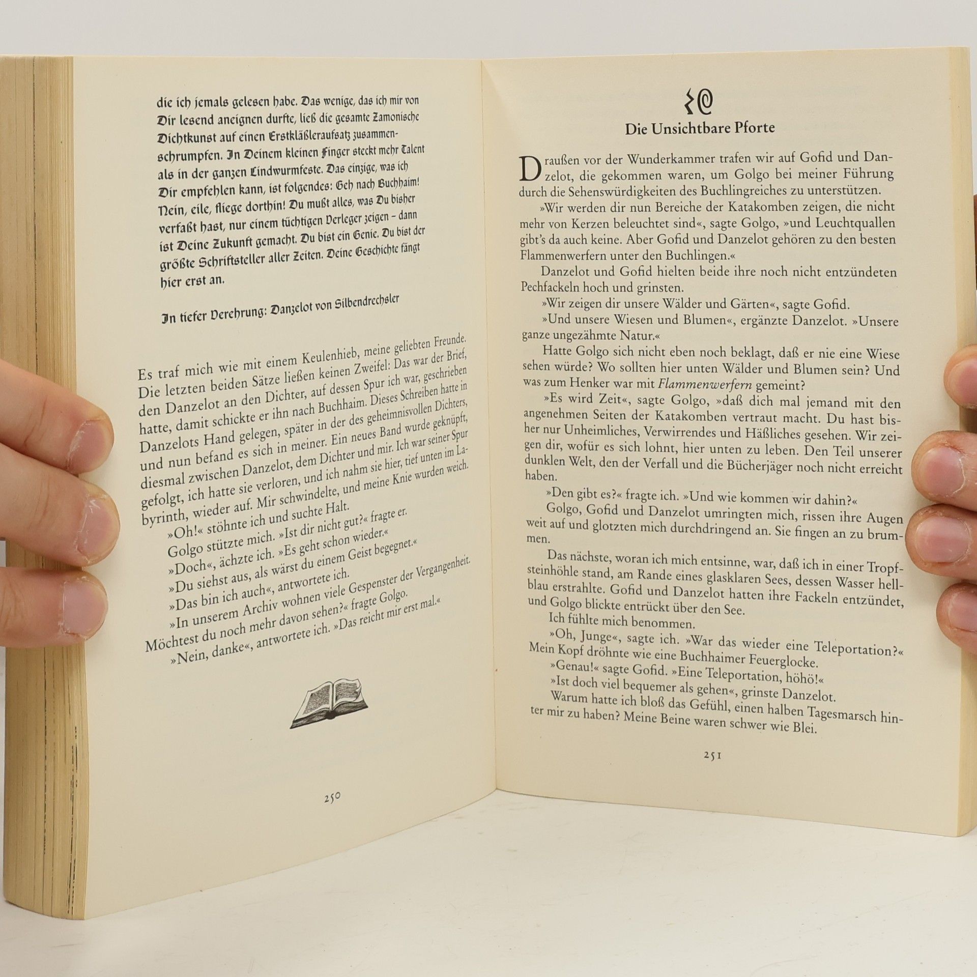 Walter Moers Die Stadt der Träumenden Bücher