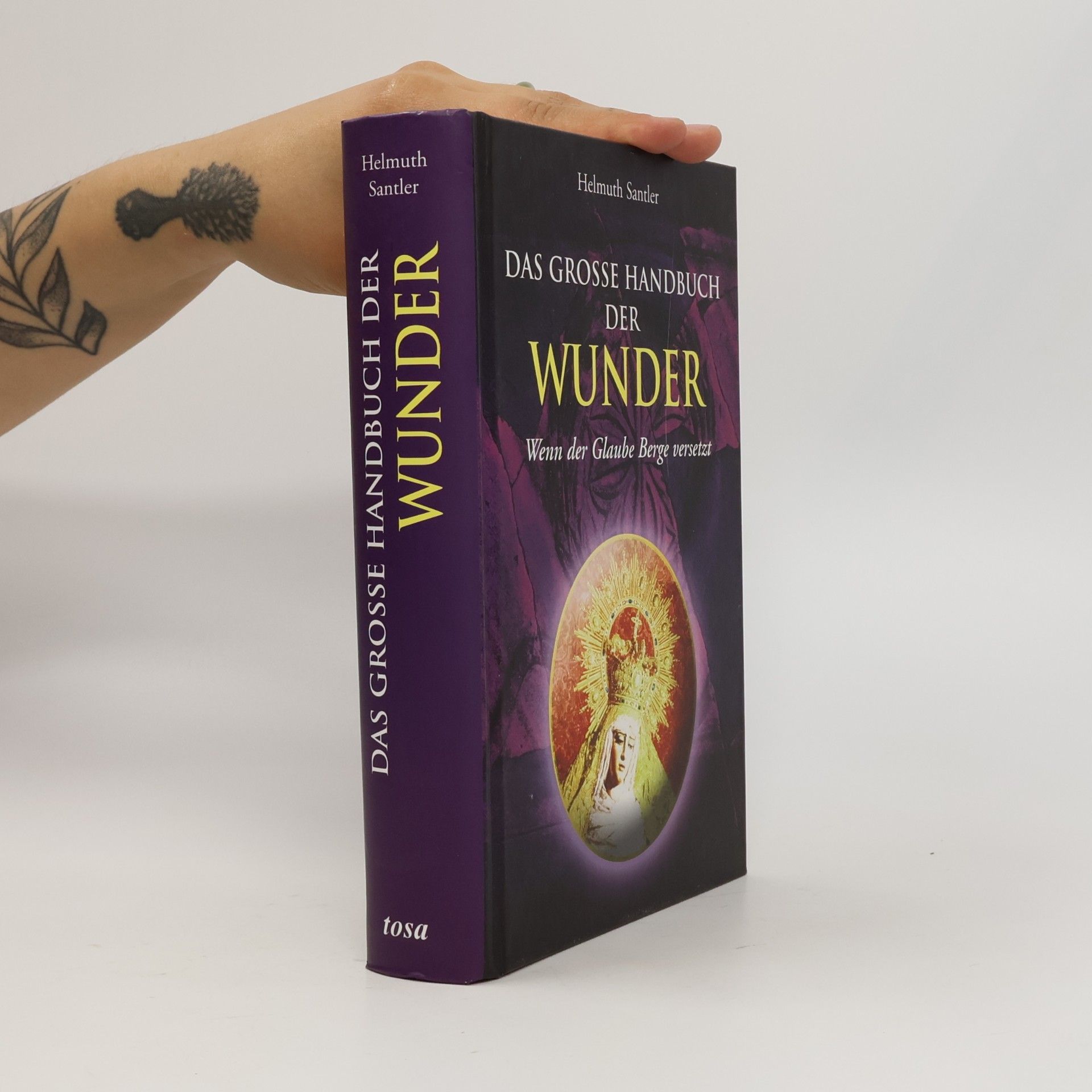 Helmuth Santler Das große Handbuch der Wunder