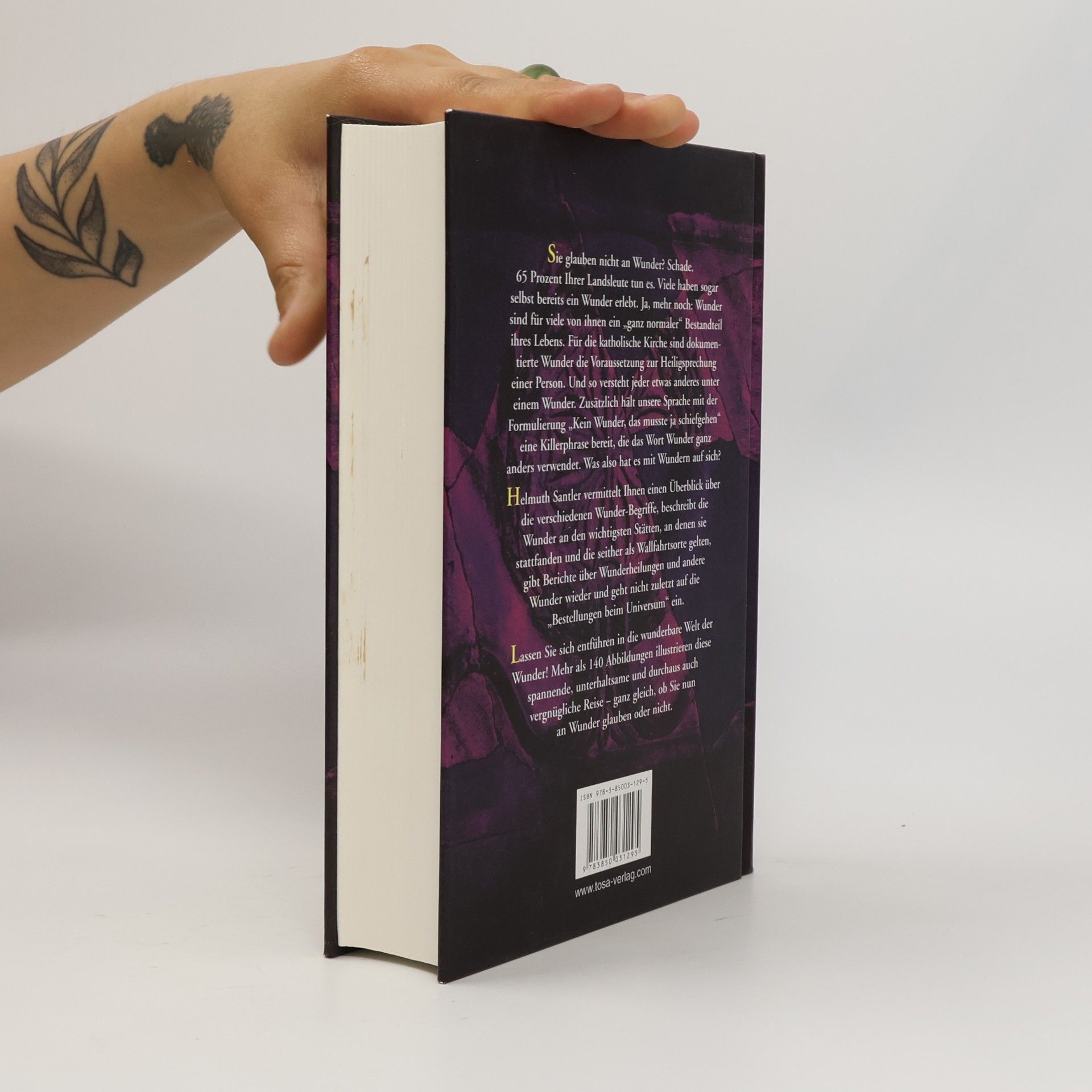 Helmuth Santler Das große Handbuch der Wunder