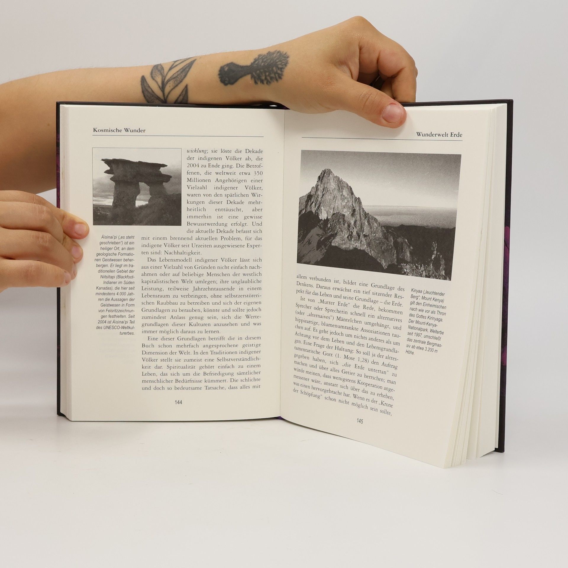 Helmuth Santler Das große Handbuch der Wunder
