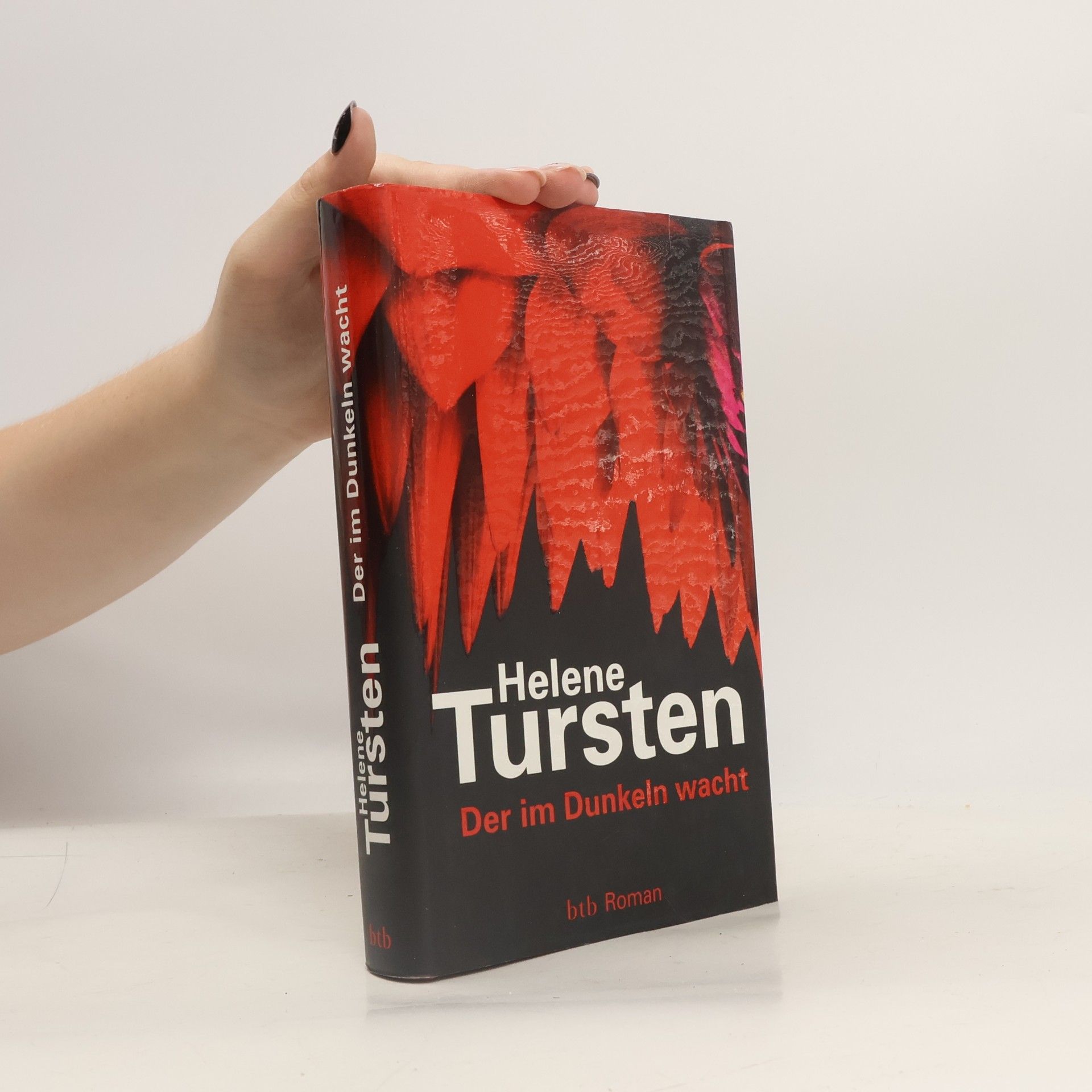 Helene Tursten Der im Dunkeln wacht