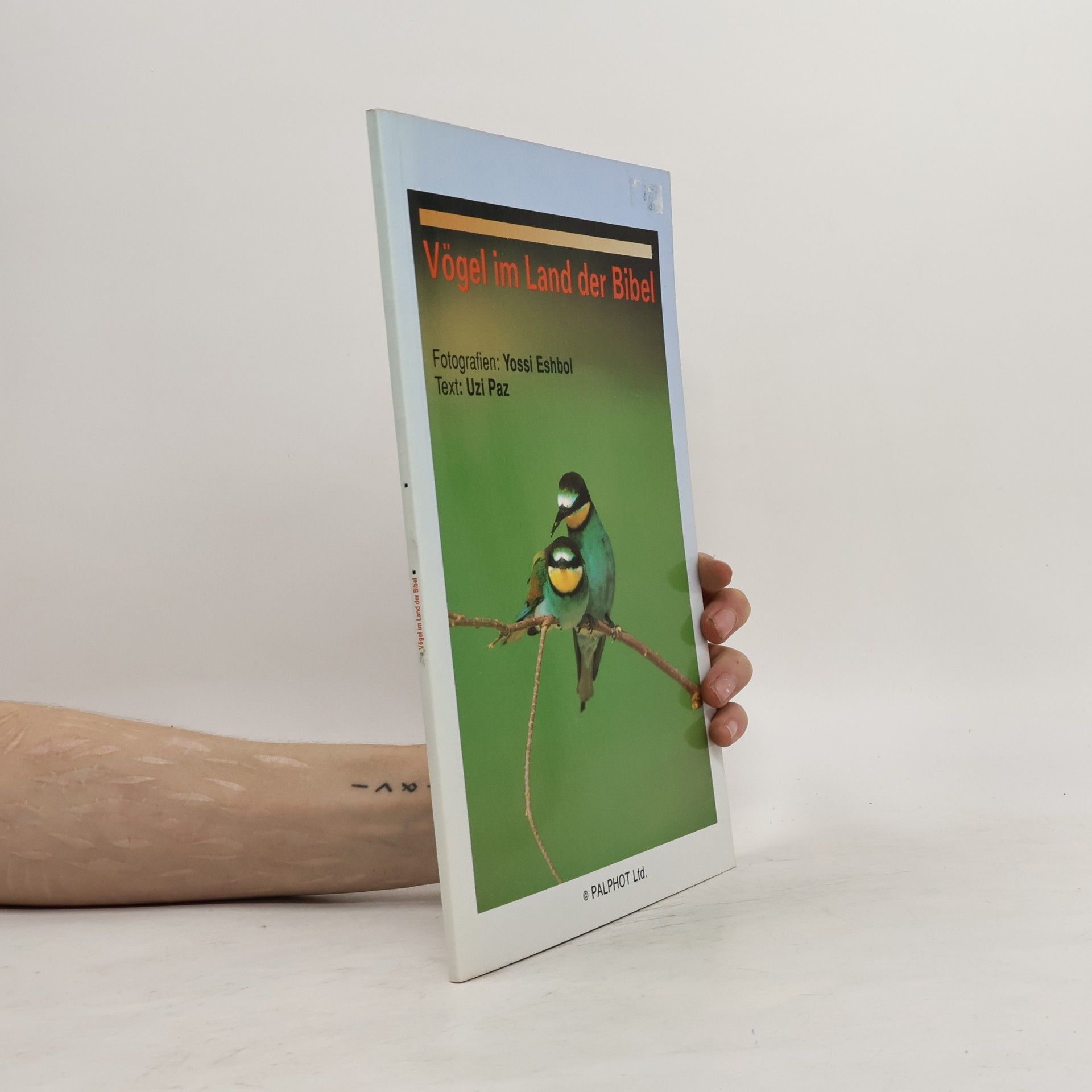 Vögel im Land der Bibel