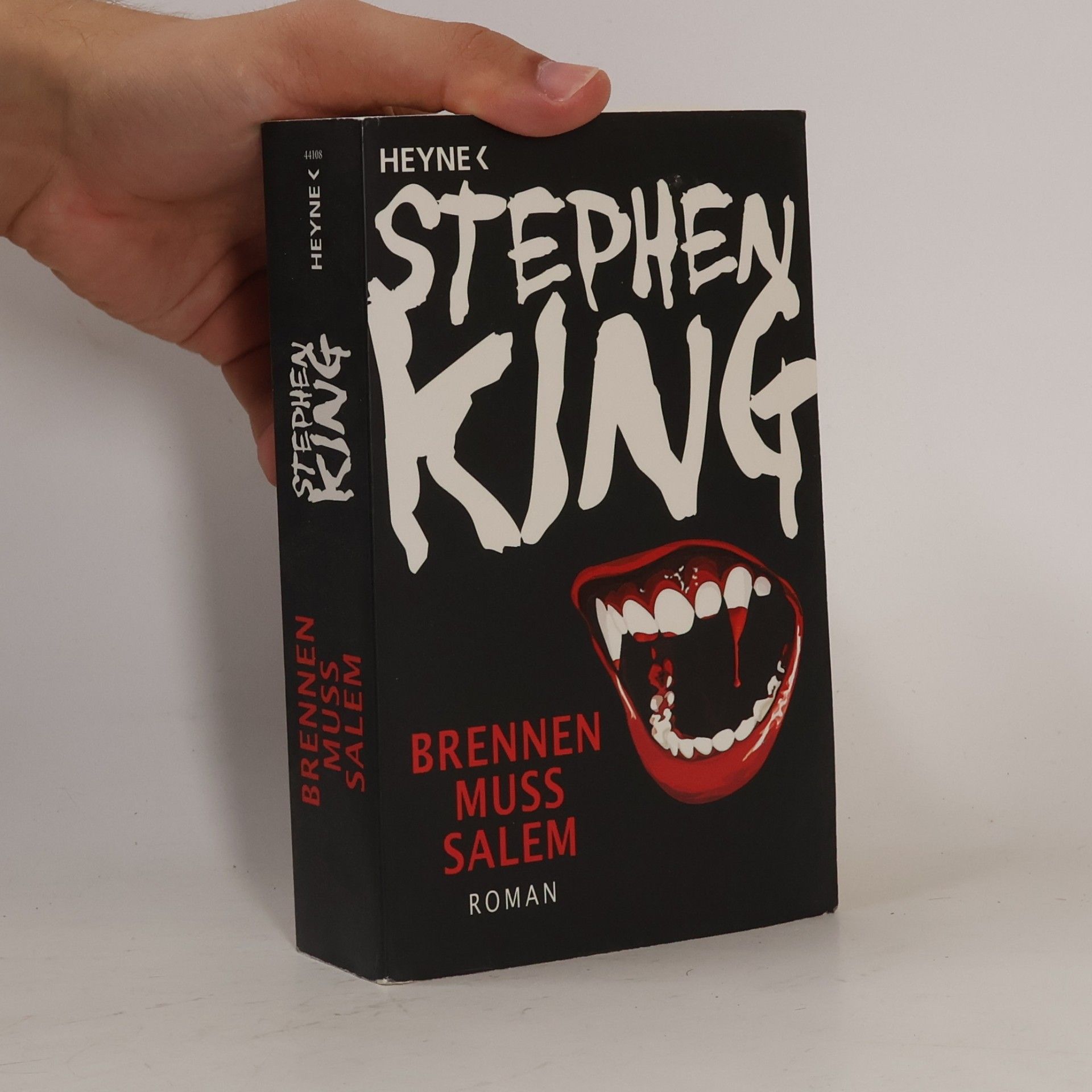 Stephen King Brennen muss Salem