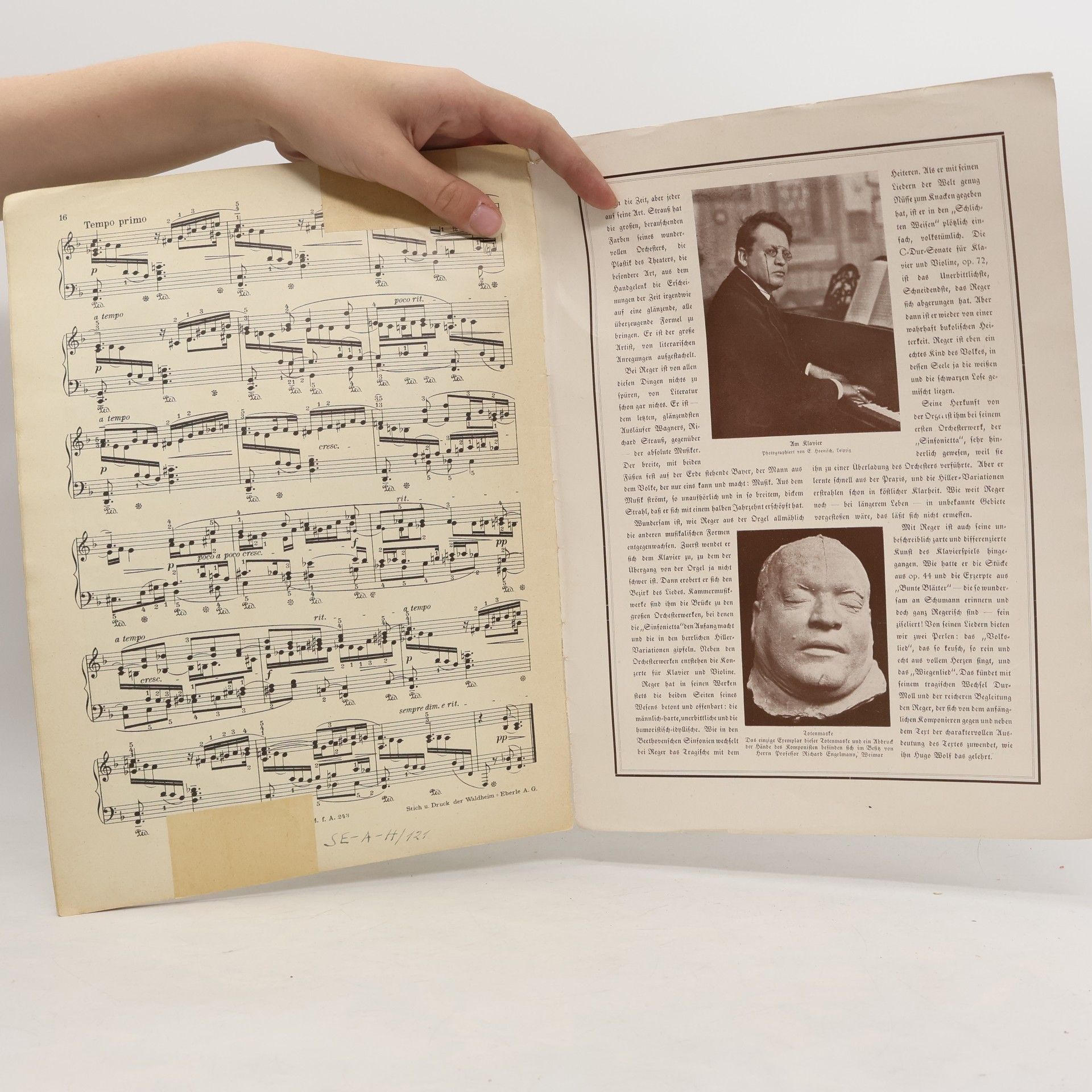 Autorenkollektiv Musik für Alle. Max Reger