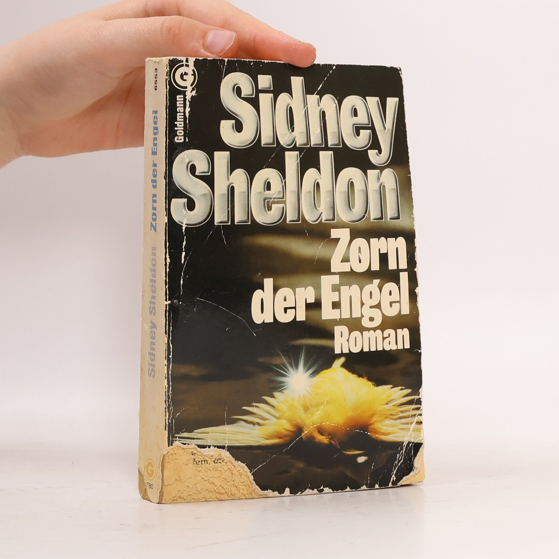 Sidney Sheldon Zorn der Engel