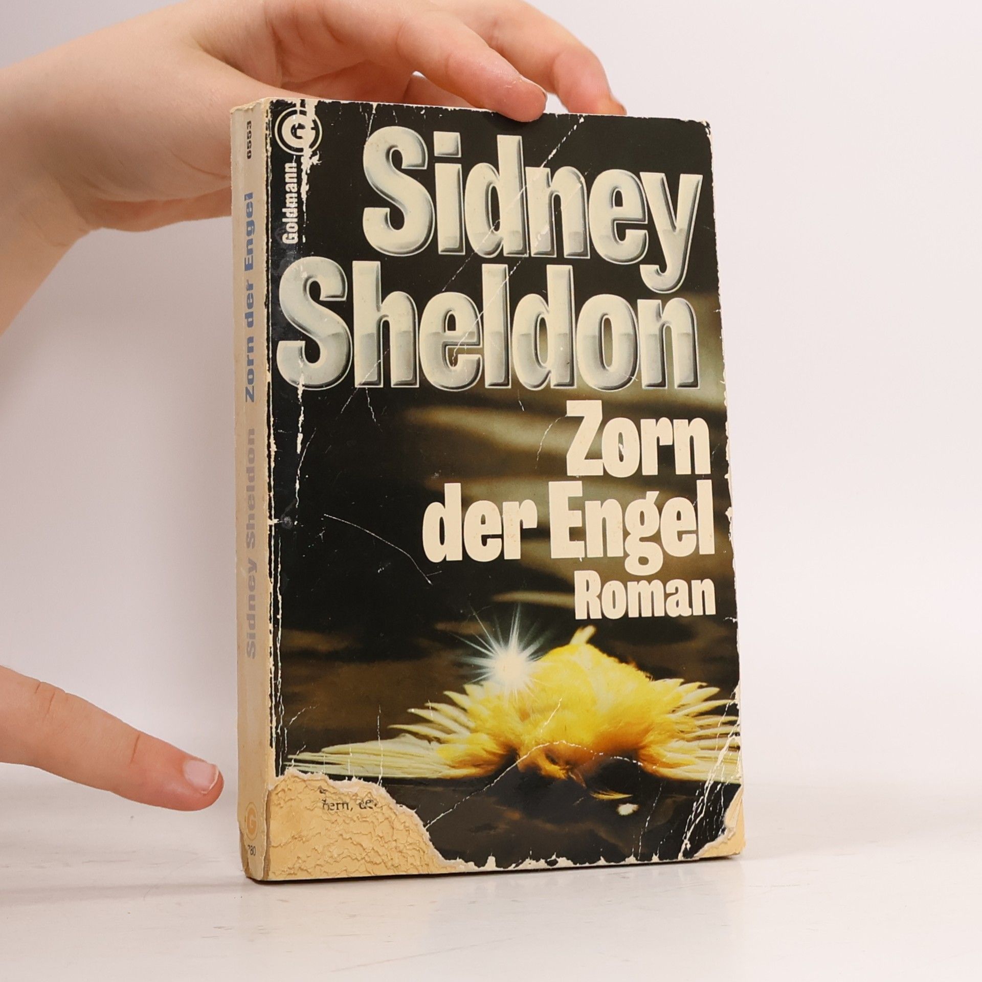 Sidney Sheldon Zorn der Engel