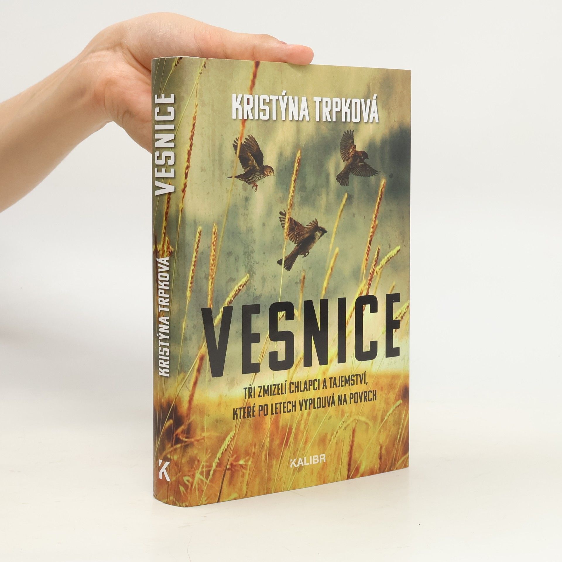 Kristýna Trpková Vesnice