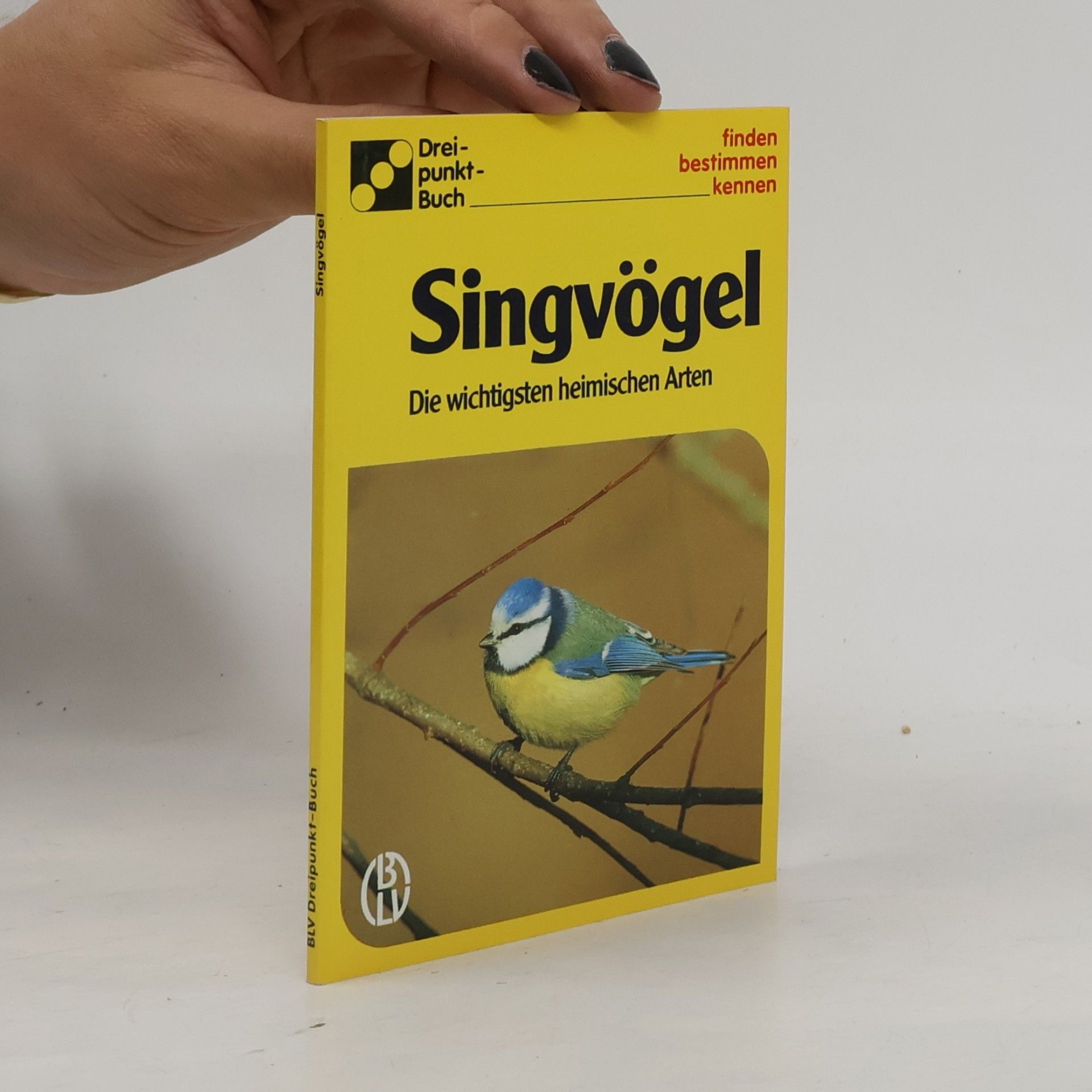 Singvögel